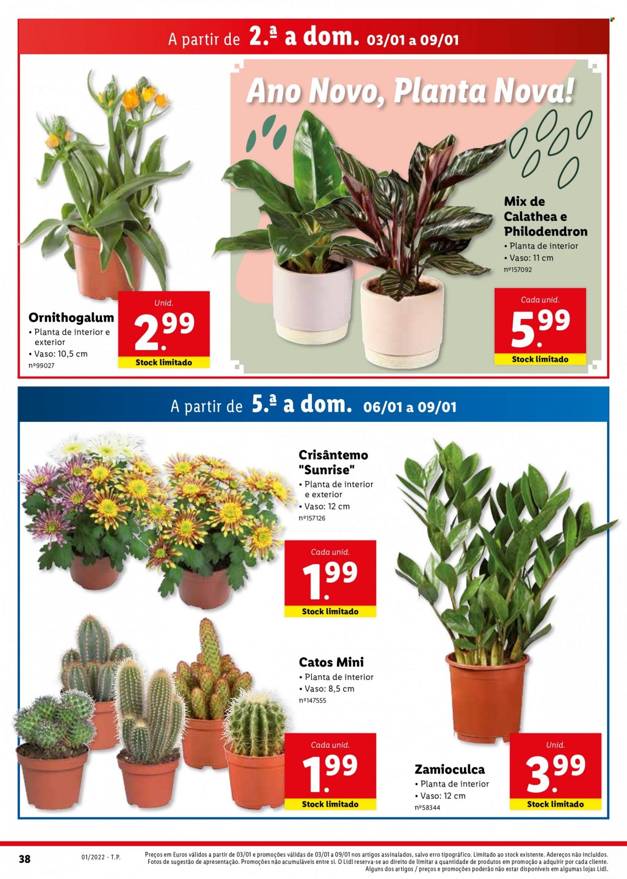 Folheto Lidl - 3.1.2022 - 9.1.2022. Página 38