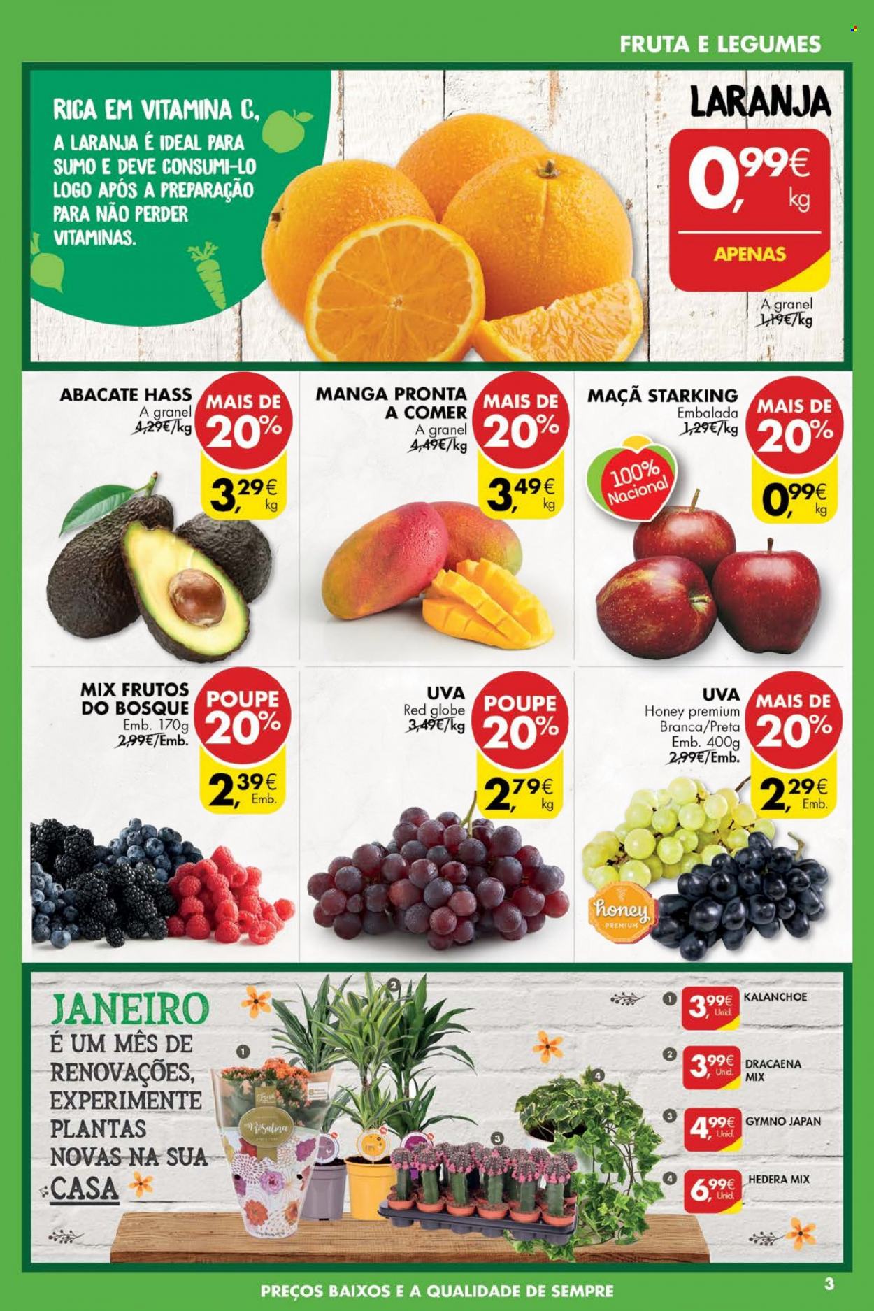 Folheto Pingo Doce - 11.1.2022 - 17.1.2022. Página 3