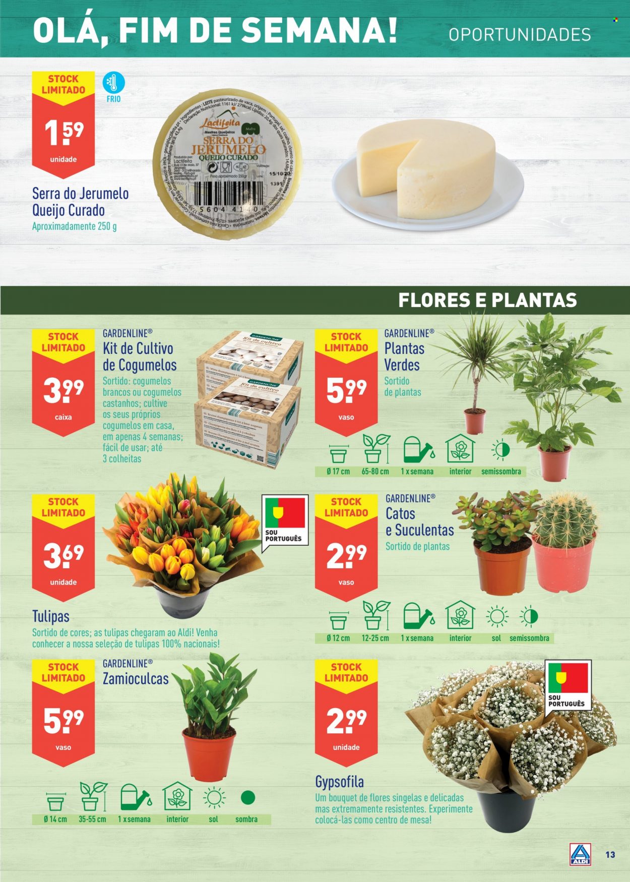 Folheto Aldi - 19.1.2022 - 25.1.2022. Página 13