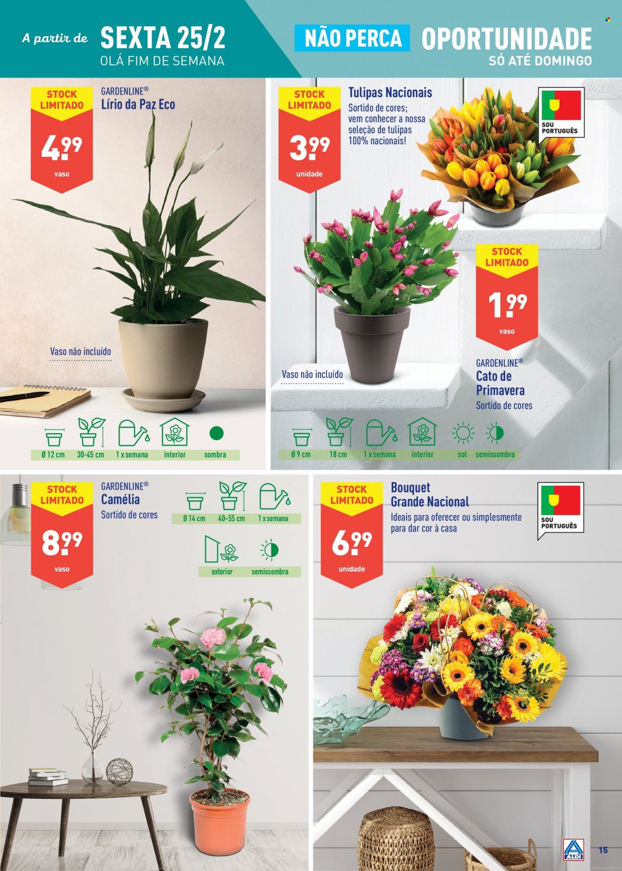 Folheto Aldi - 23.2.2022 - 1.3.2022. Página 15