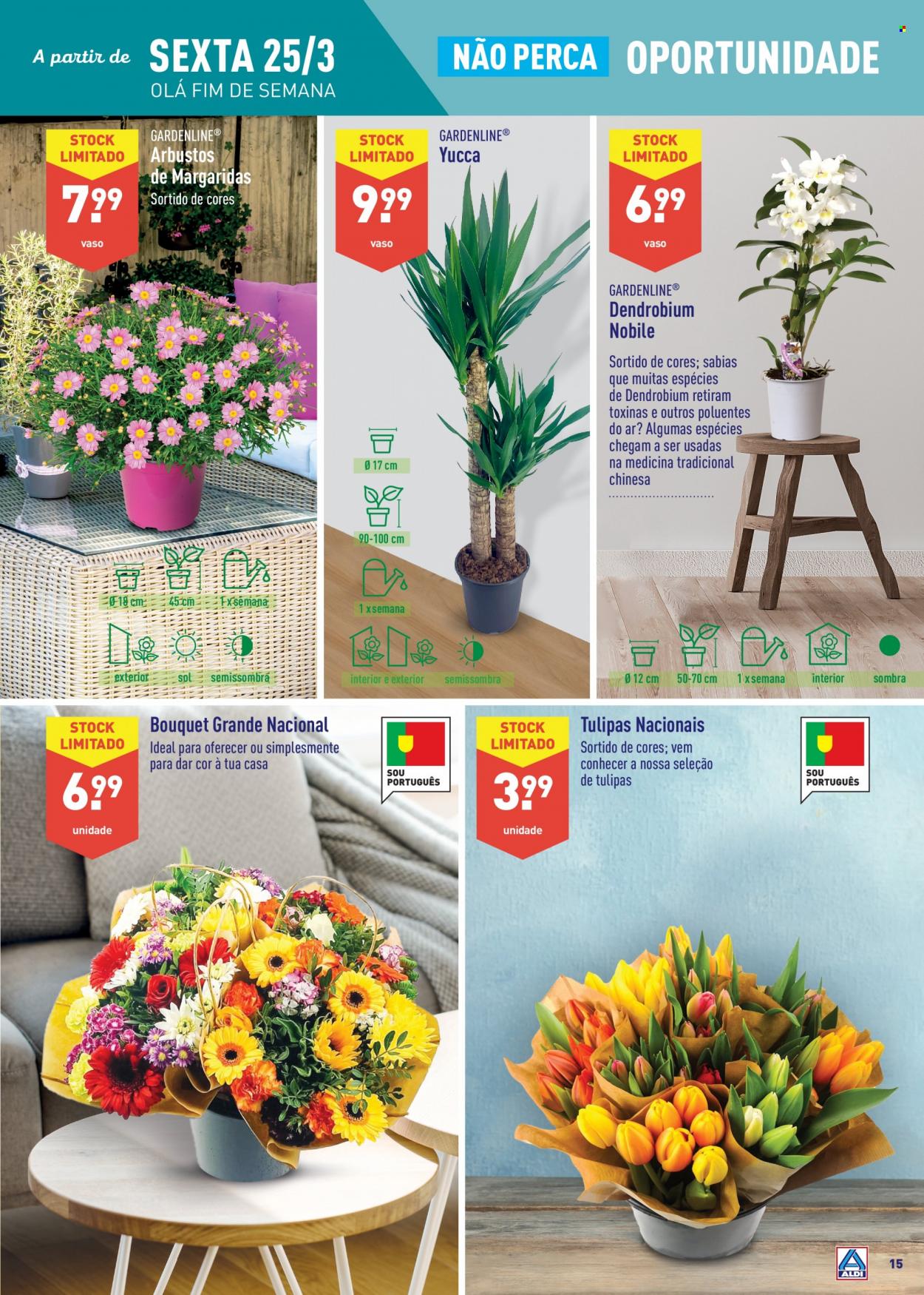 Folheto Aldi - 23.3.2022 - 29.3.2022. Página 15