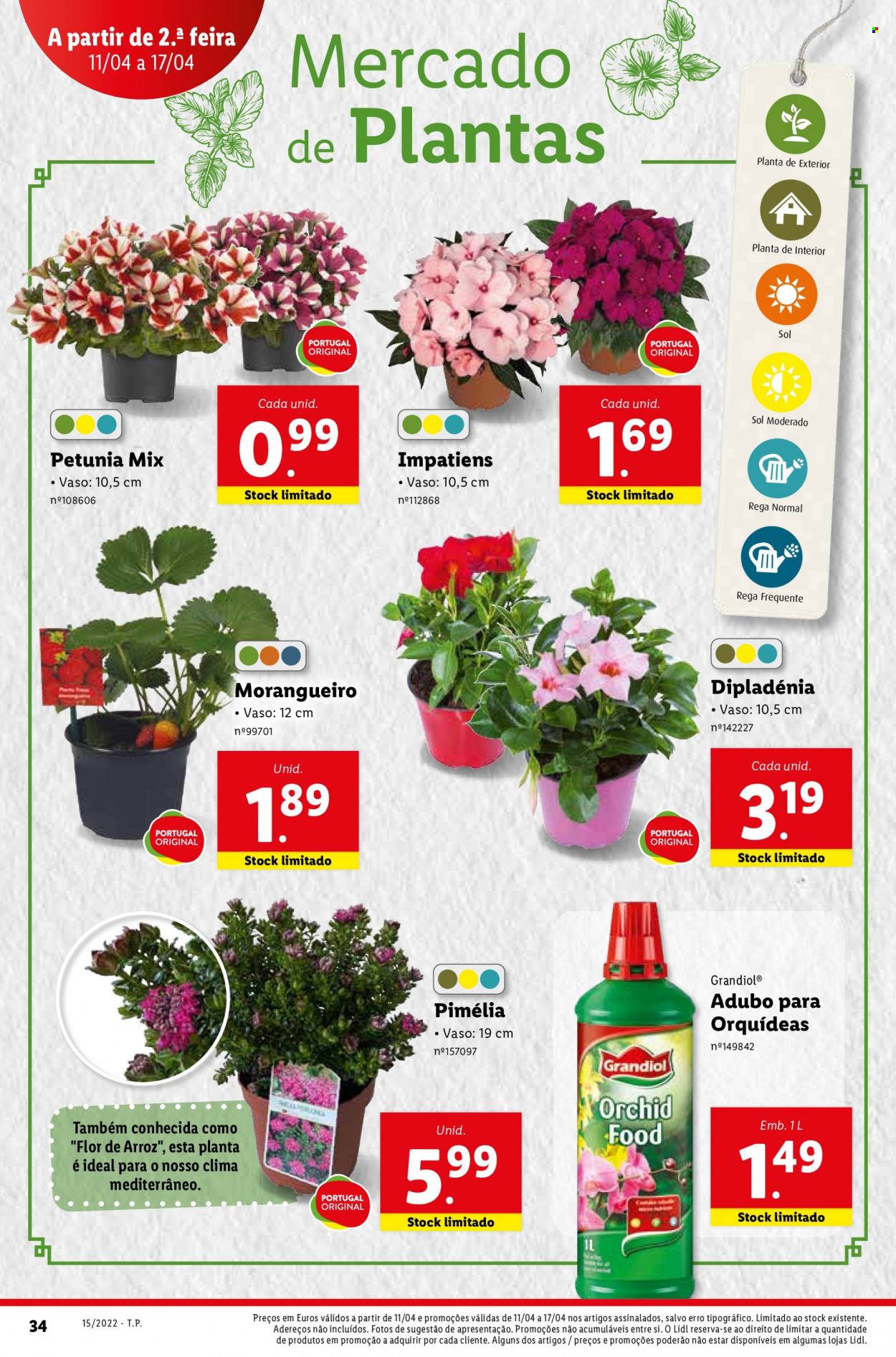 Folheto Lidl - 11.4.2022 - 17.4.2022. Página 32