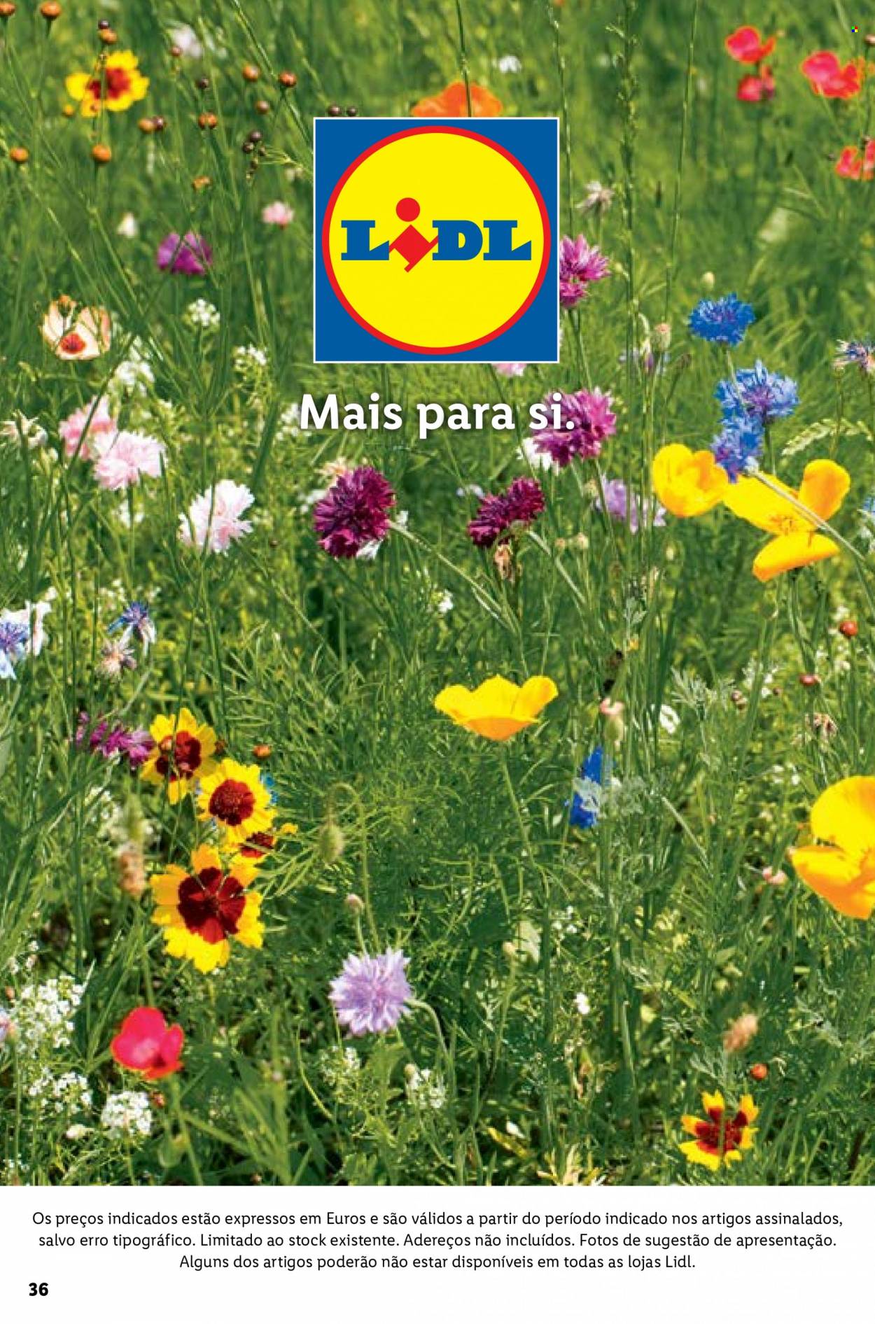 Folheto Lidl - 25.4.2022 - 2.5.2022. Página 36