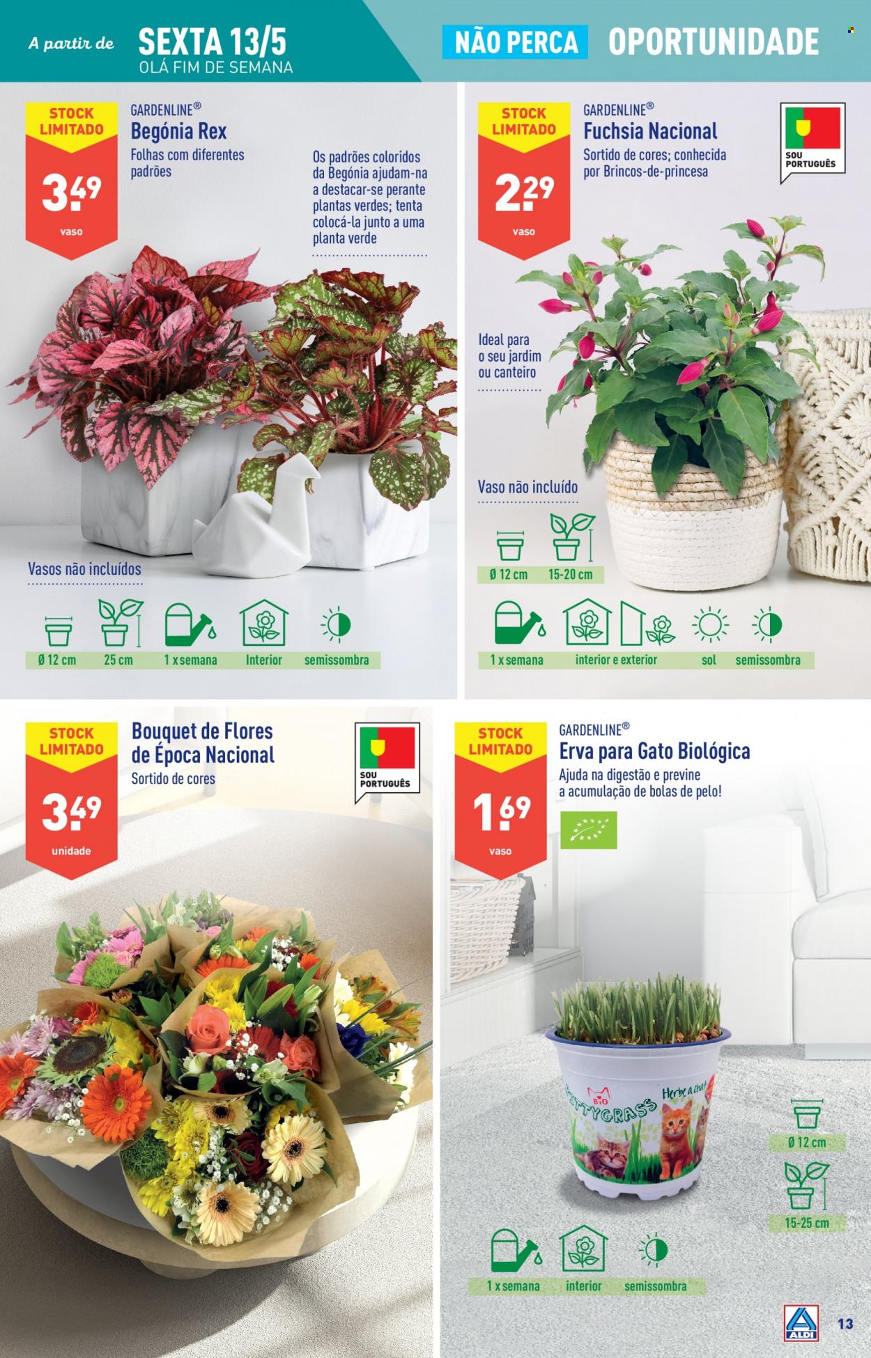 Folheto Aldi - 11.5.2022 - 17.5.2022. Página 13