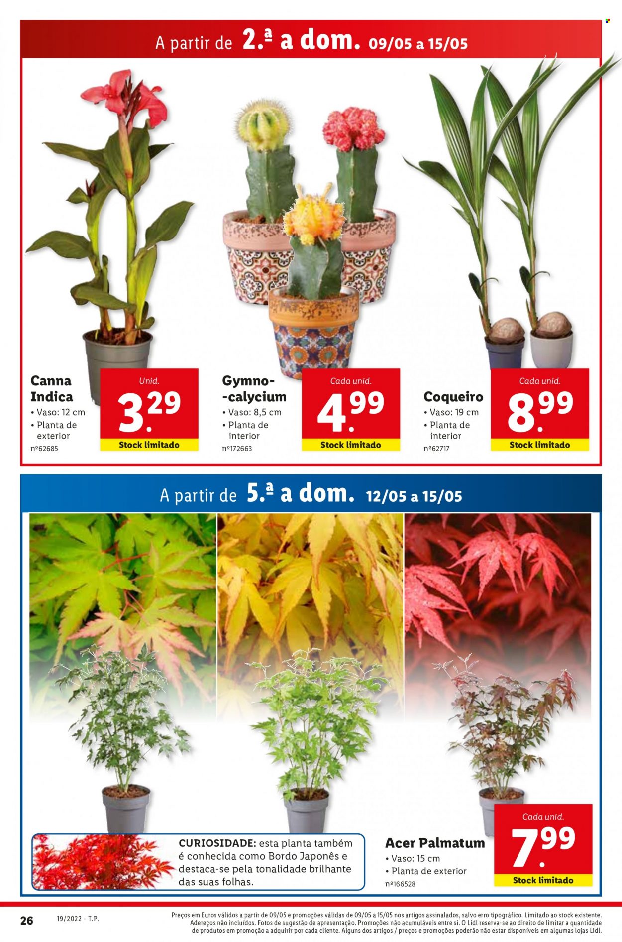 Folheto Lidl - 9.5.2022 - 15.5.2022. Página 28