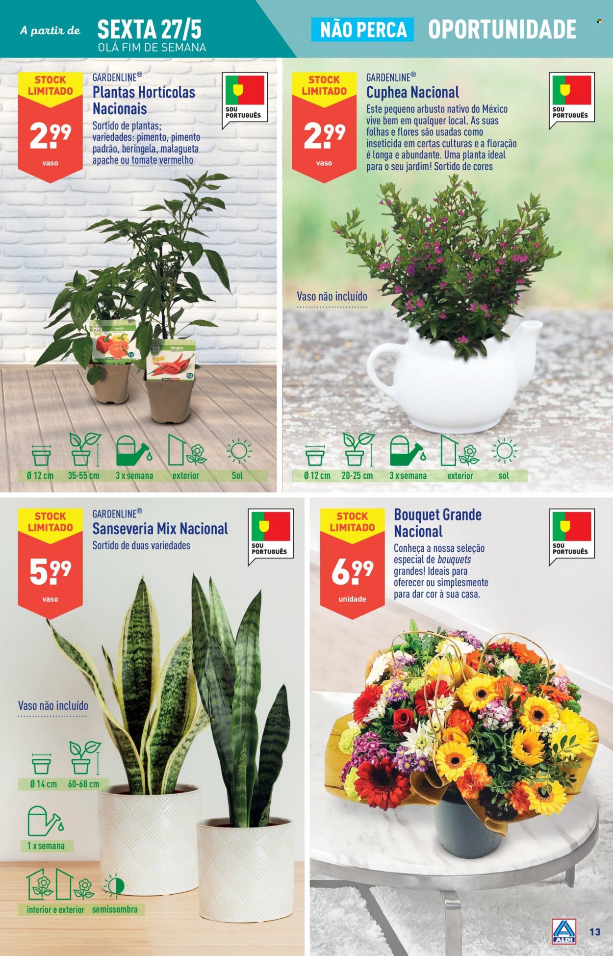 Folheto Aldi - 25.5.2022 - 31.5.2022. Página 13