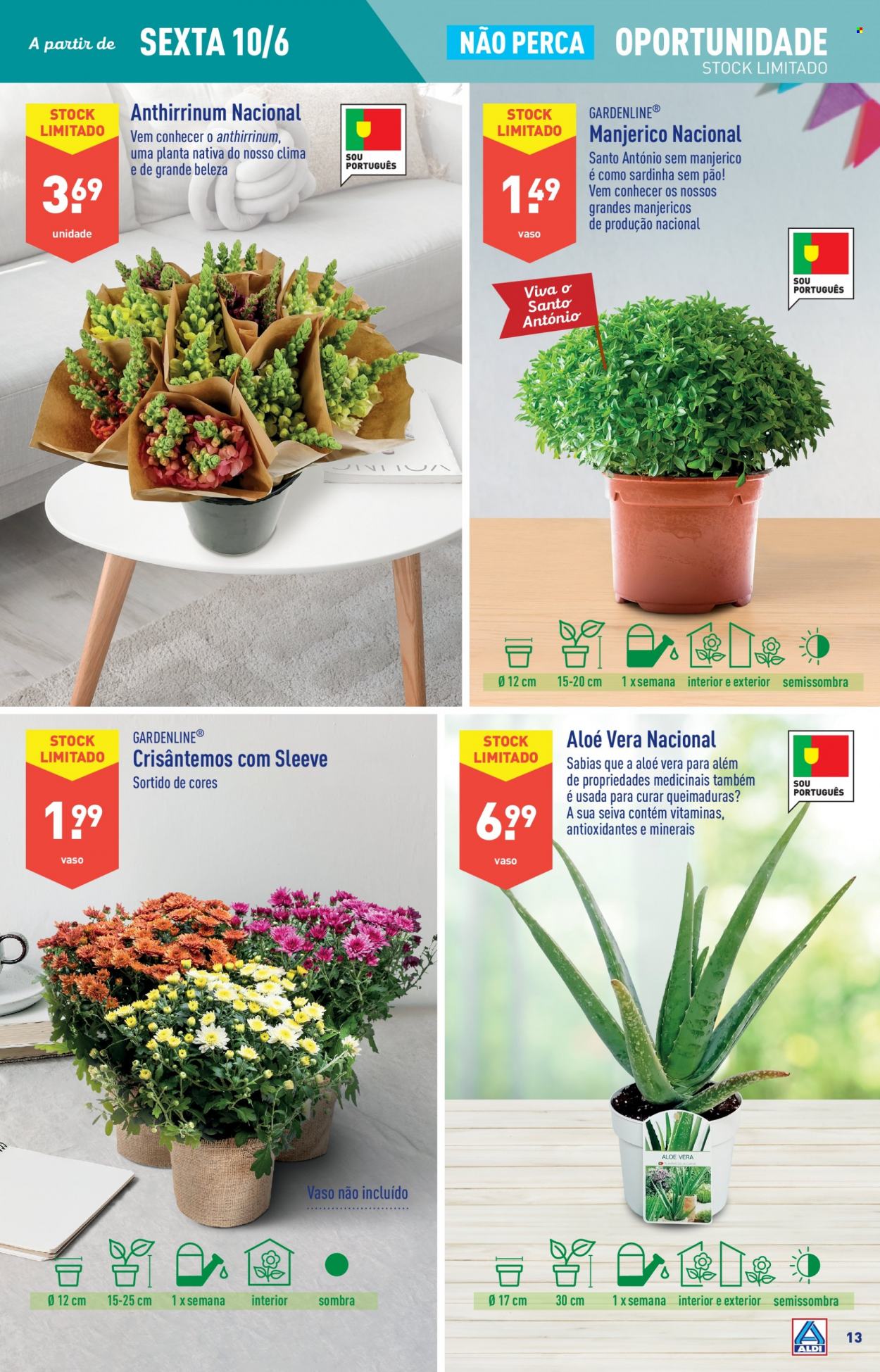 Folheto Aldi - 8.6.2022 - 14.6.2022. Página 13