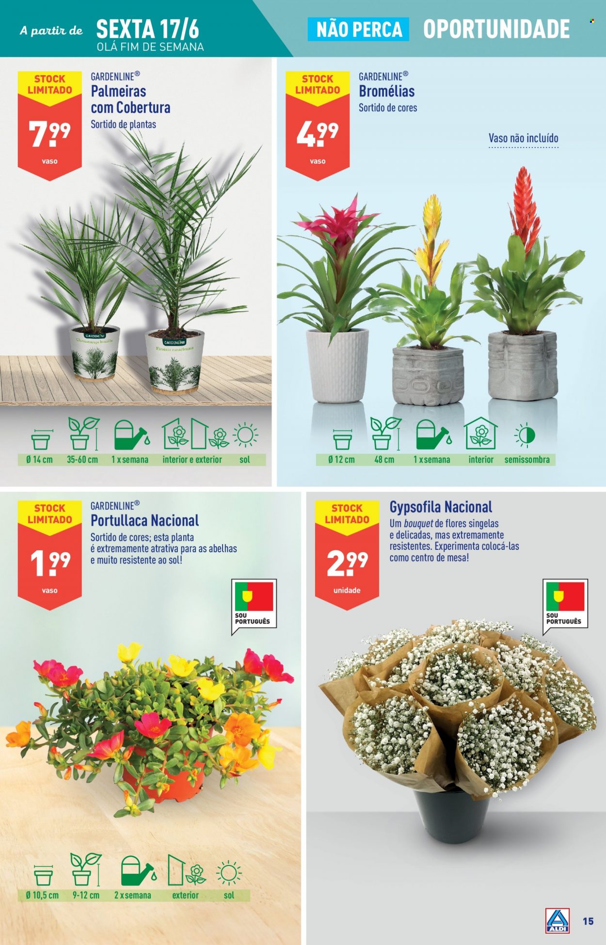 Folheto Aldi - 15.6.2022 - 21.6.2022. Página 15