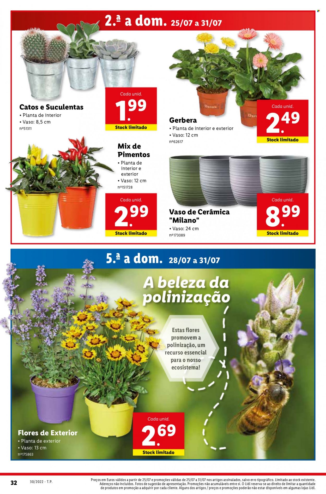 Folheto Lidl - 25.7.2022 - 31.7.2022. Página 35