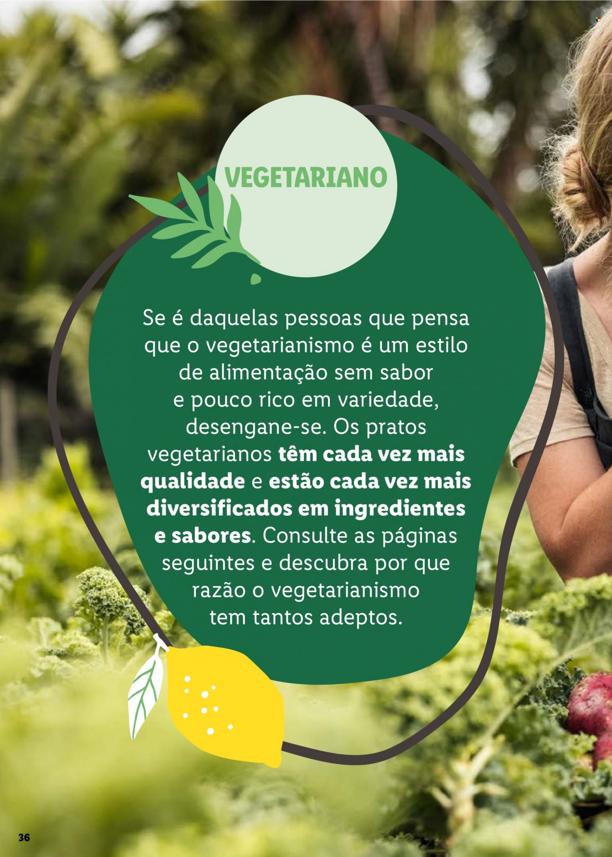 Folheto Lidl - 25.7.2022 - 31.7.2022. Página 36