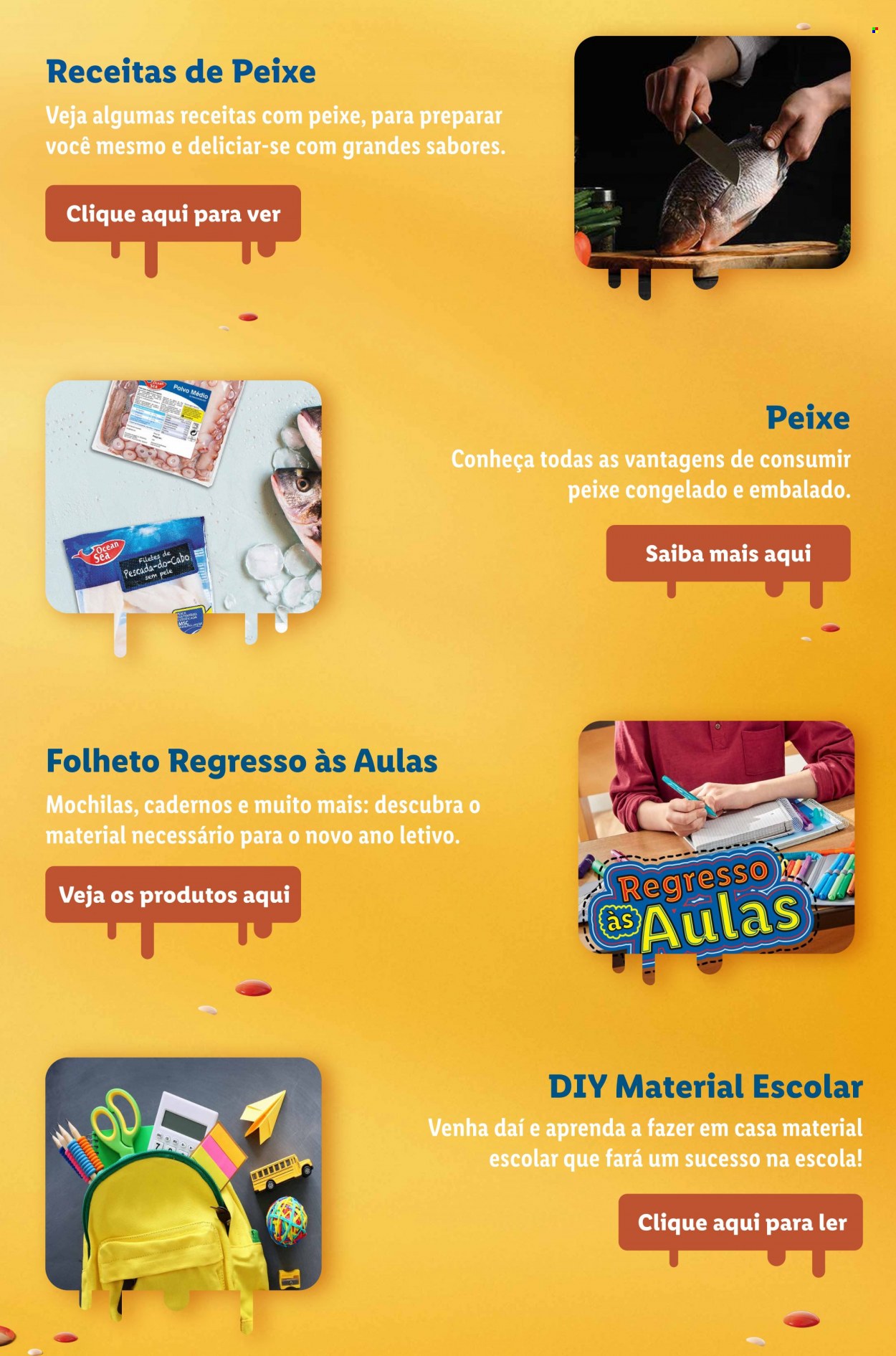 Folheto Lidl - 15.8.2022 - 21.8.2022. Página 5