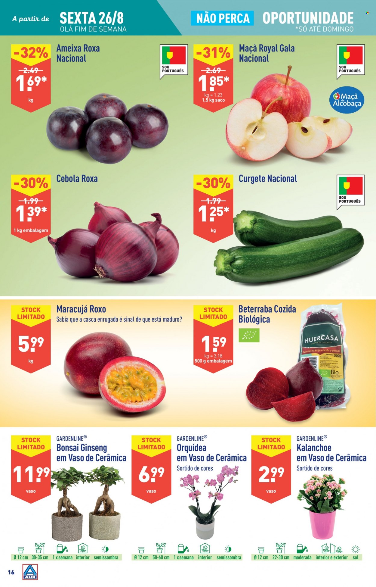 Folheto Aldi - 24.8.2022 - 30.8.2022. Página 16