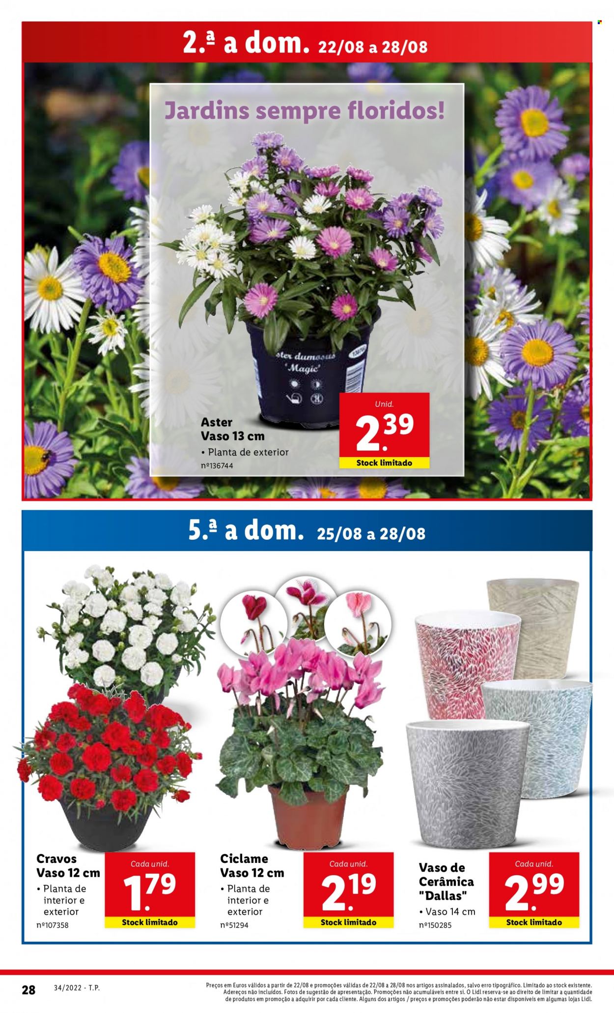 Folheto Lidl - 22.8.2022 - 28.8.2022. Página 50