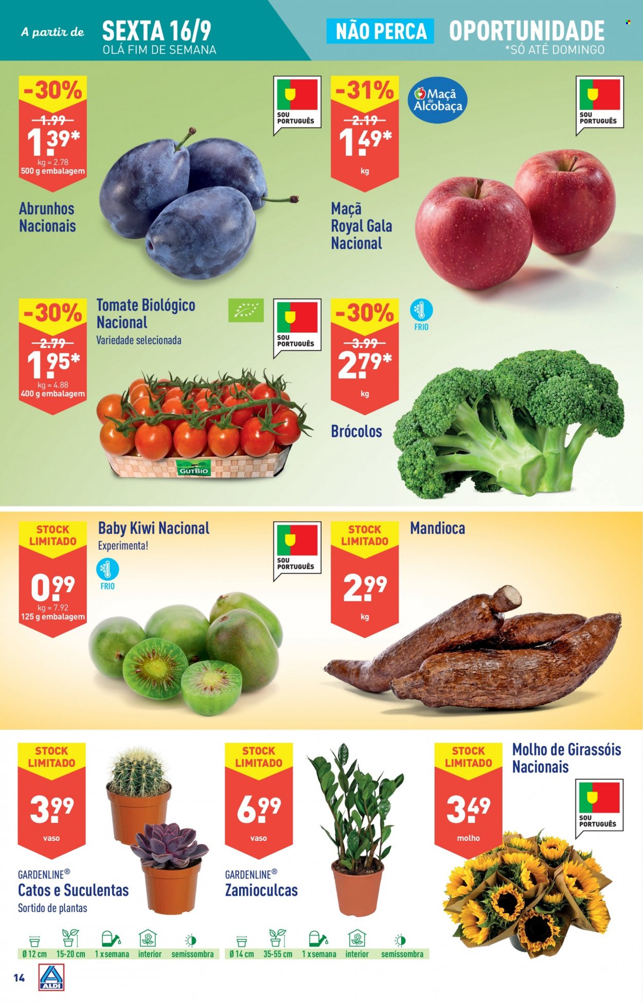 Folheto Aldi - 14.9.2022 - 20.9.2022. Página 14