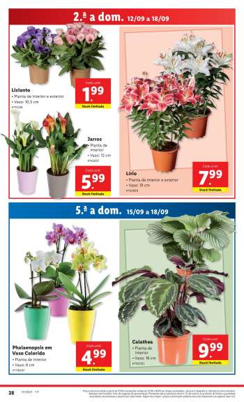 Promoções {store}