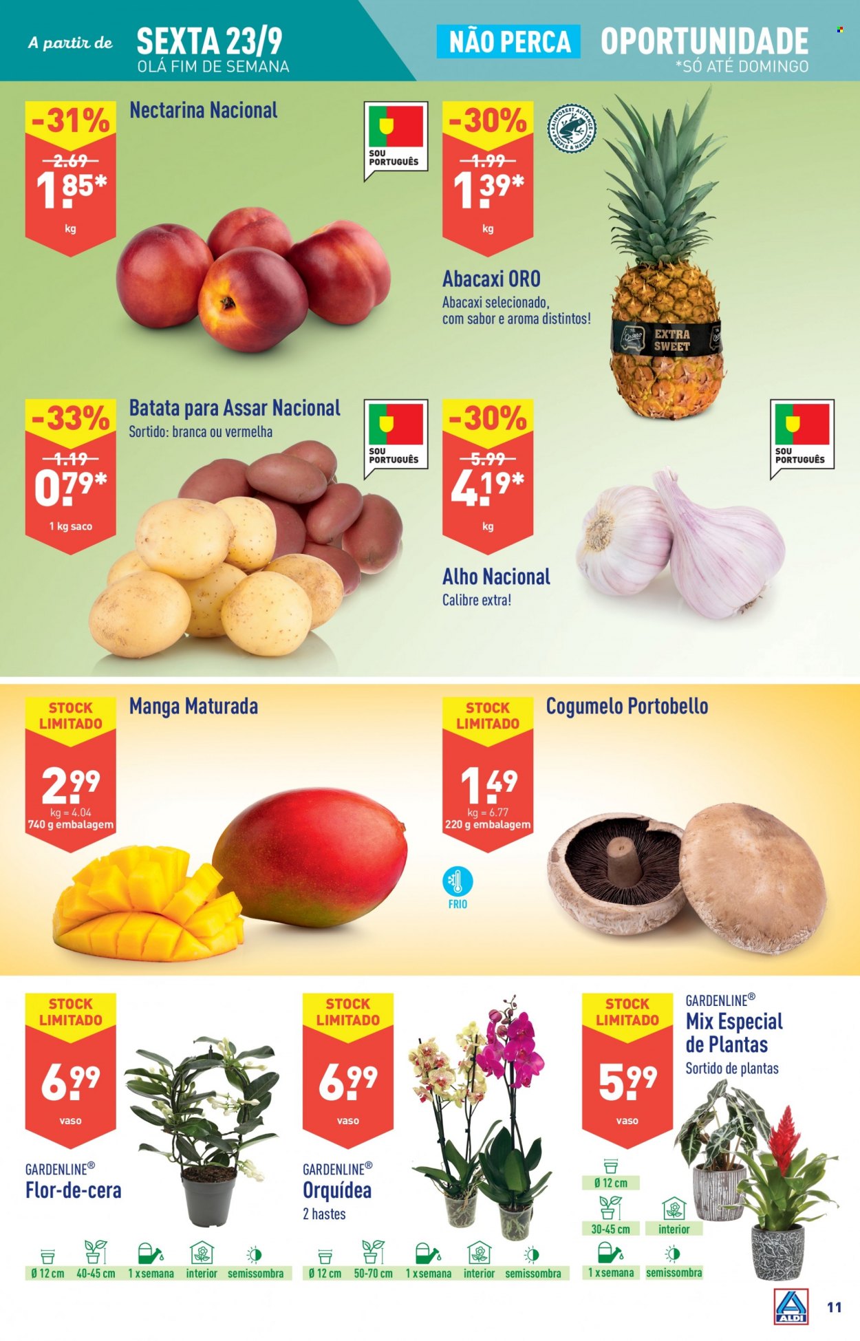 Folheto Aldi - 21.9.2022 - 27.9.2022. Página 11