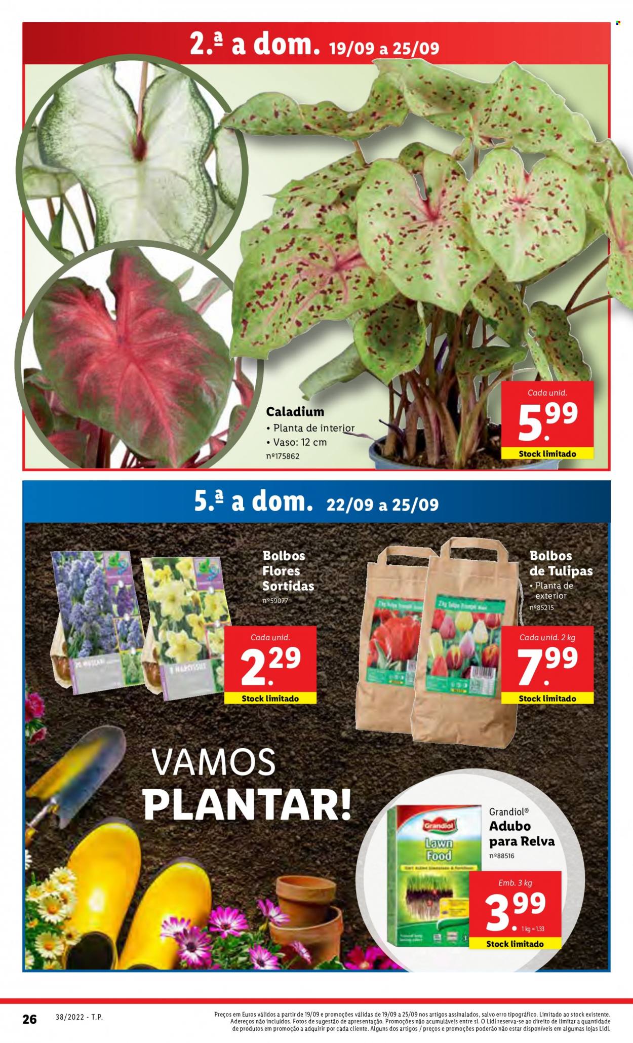 Folheto Lidl - 19.9.2022 - 25.9.2022. Página 26