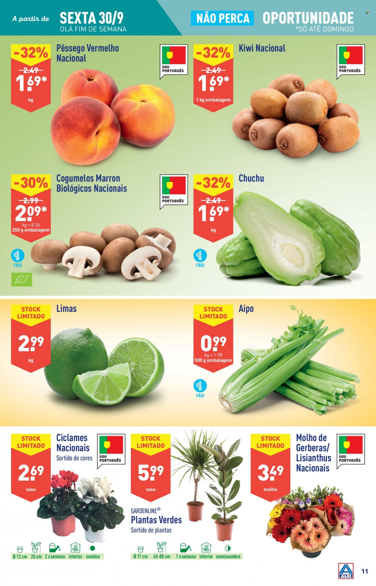 thumbnail - Folheto Aldi - 28.9.2022 - 4.10.2022 - Produtos em promoção - kiwi, pêssego, lima, chuchu, aipo, cogumelo, molho, plantas verdes. Página 11.