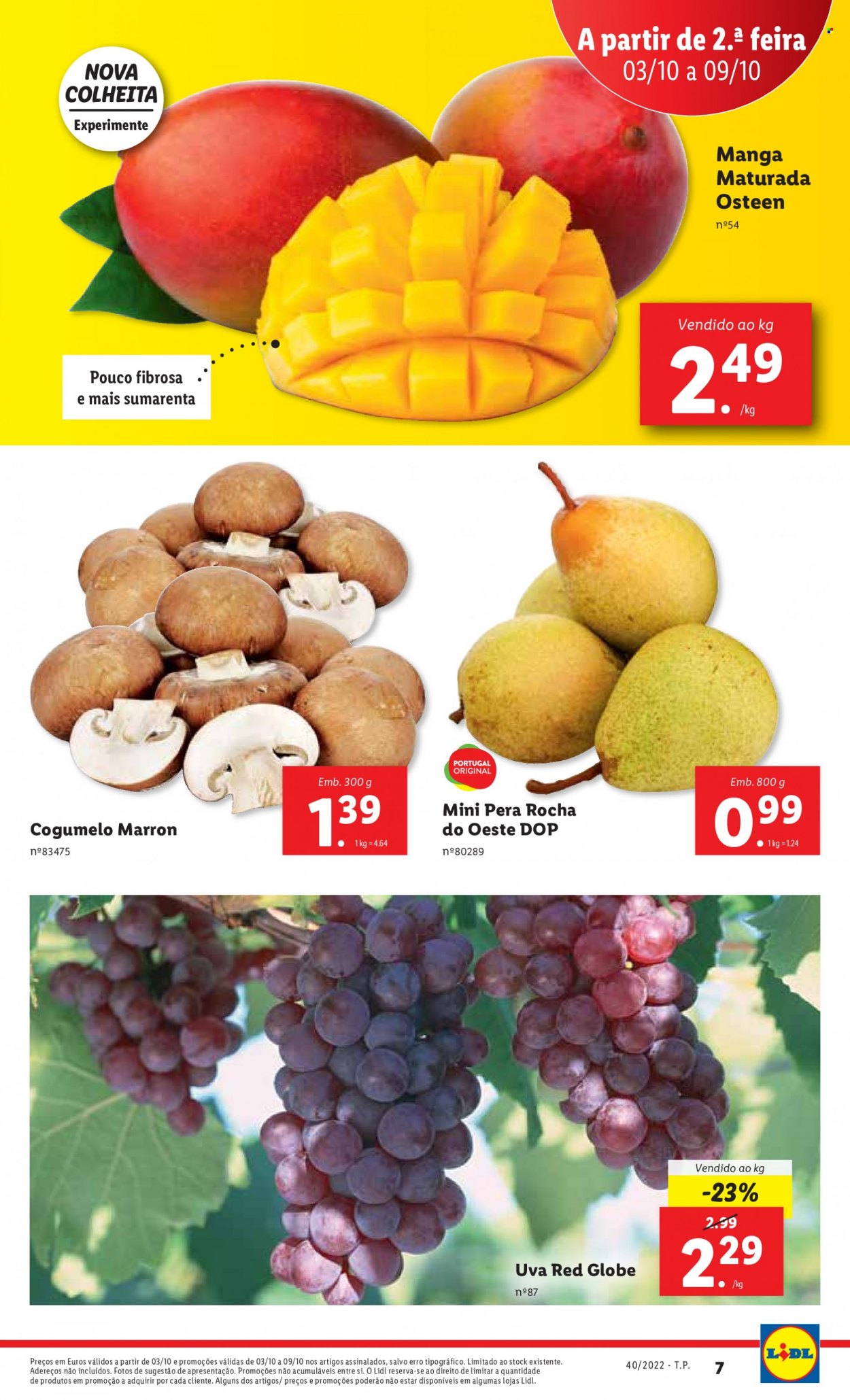 Folheto Lidl - 3.10.2022 - 9.10.2022. Página 7