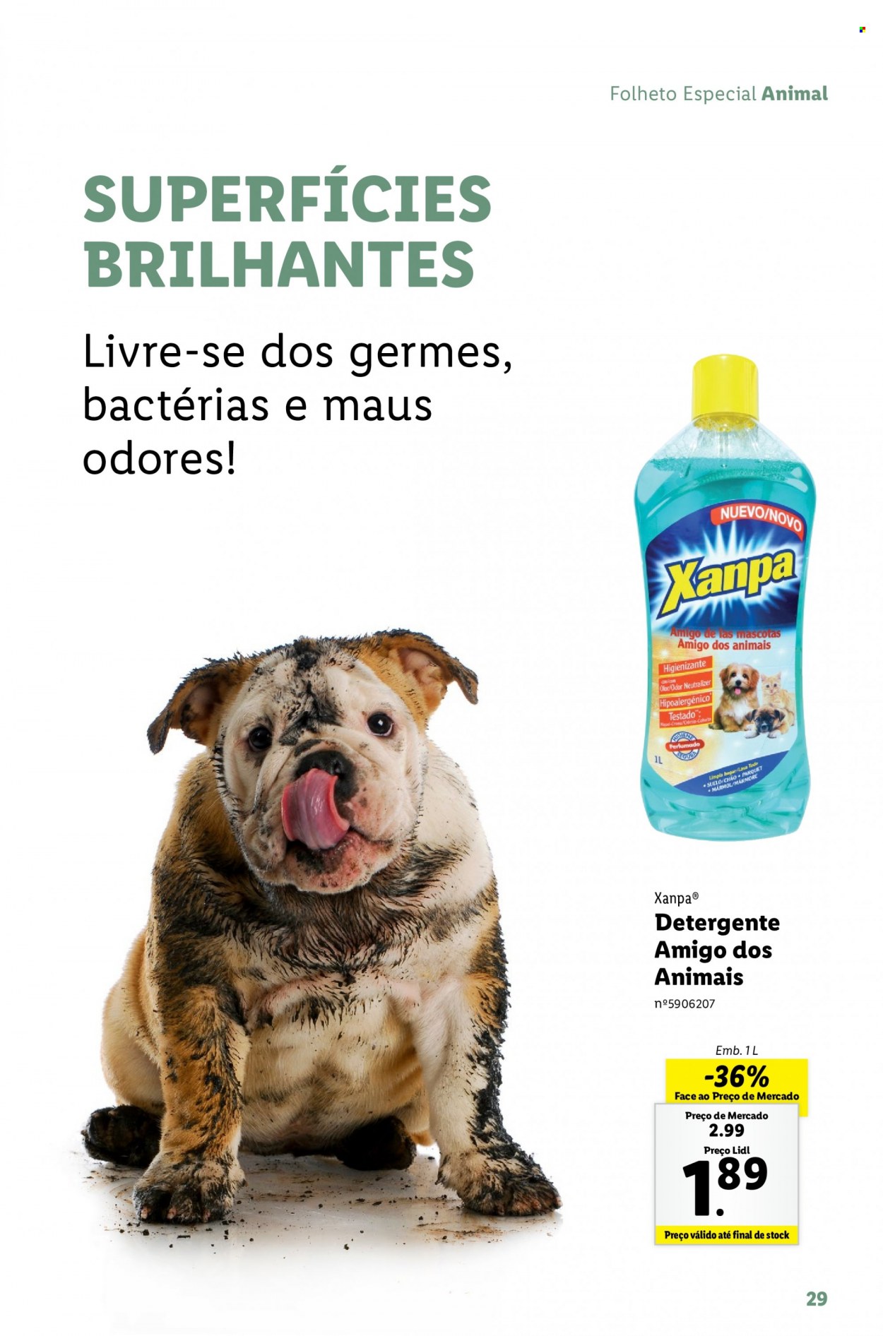 Folheto Lidl - 3.10.2022 - 31.10.2022. Página 29