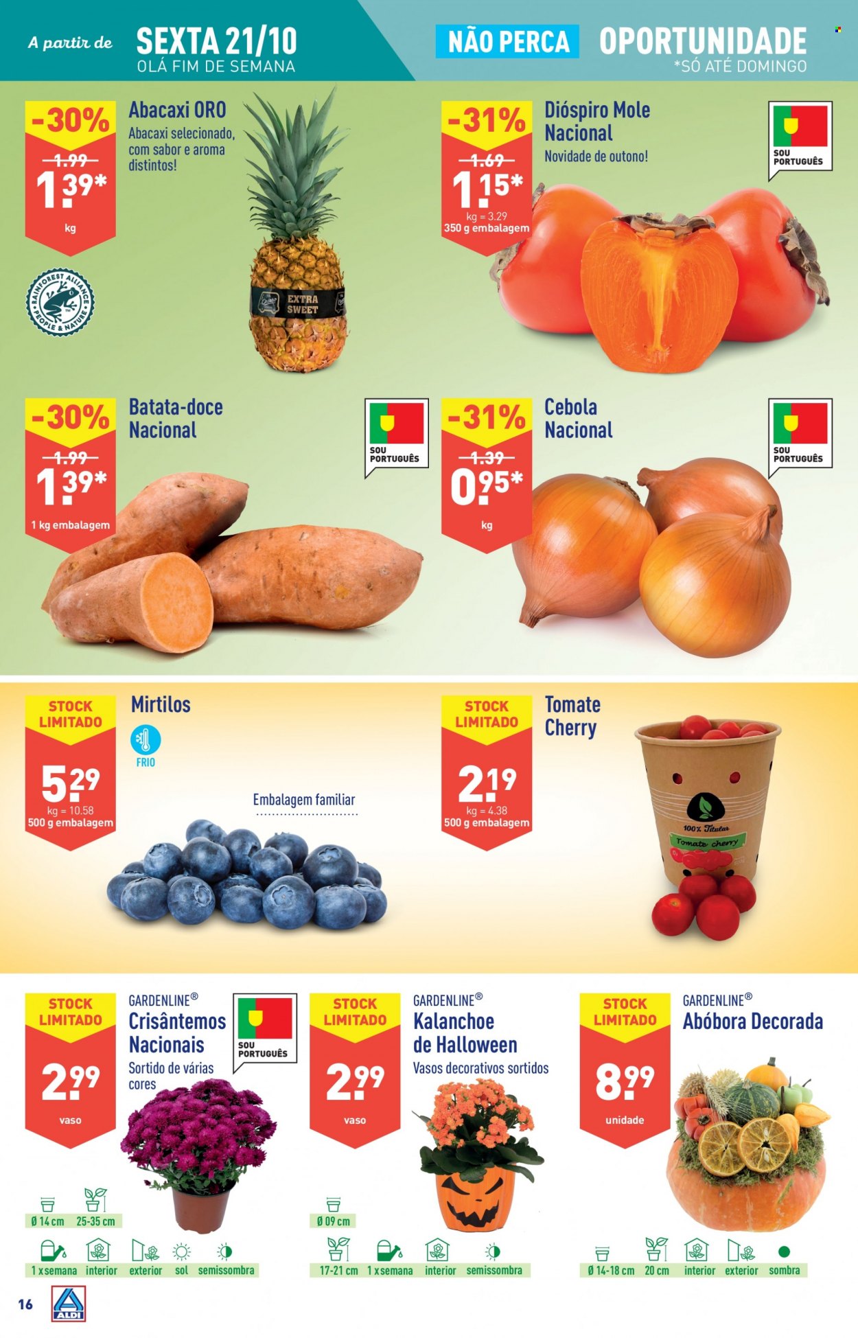 Folheto Aldi - 19.10.2022 - 25.10.2022. Página 16