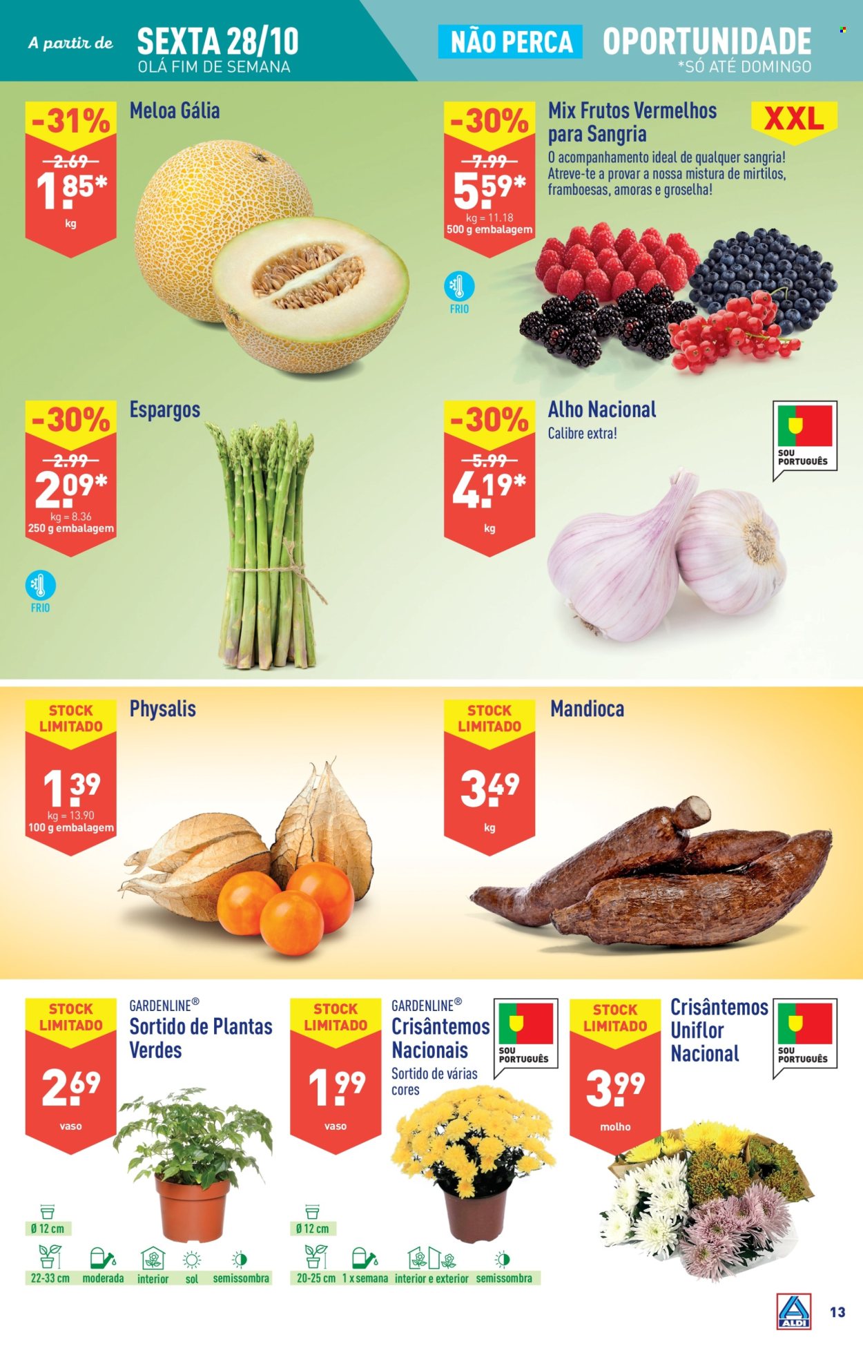 Folheto Aldi - 26.10.2022 - 1.11.2022. Página 13