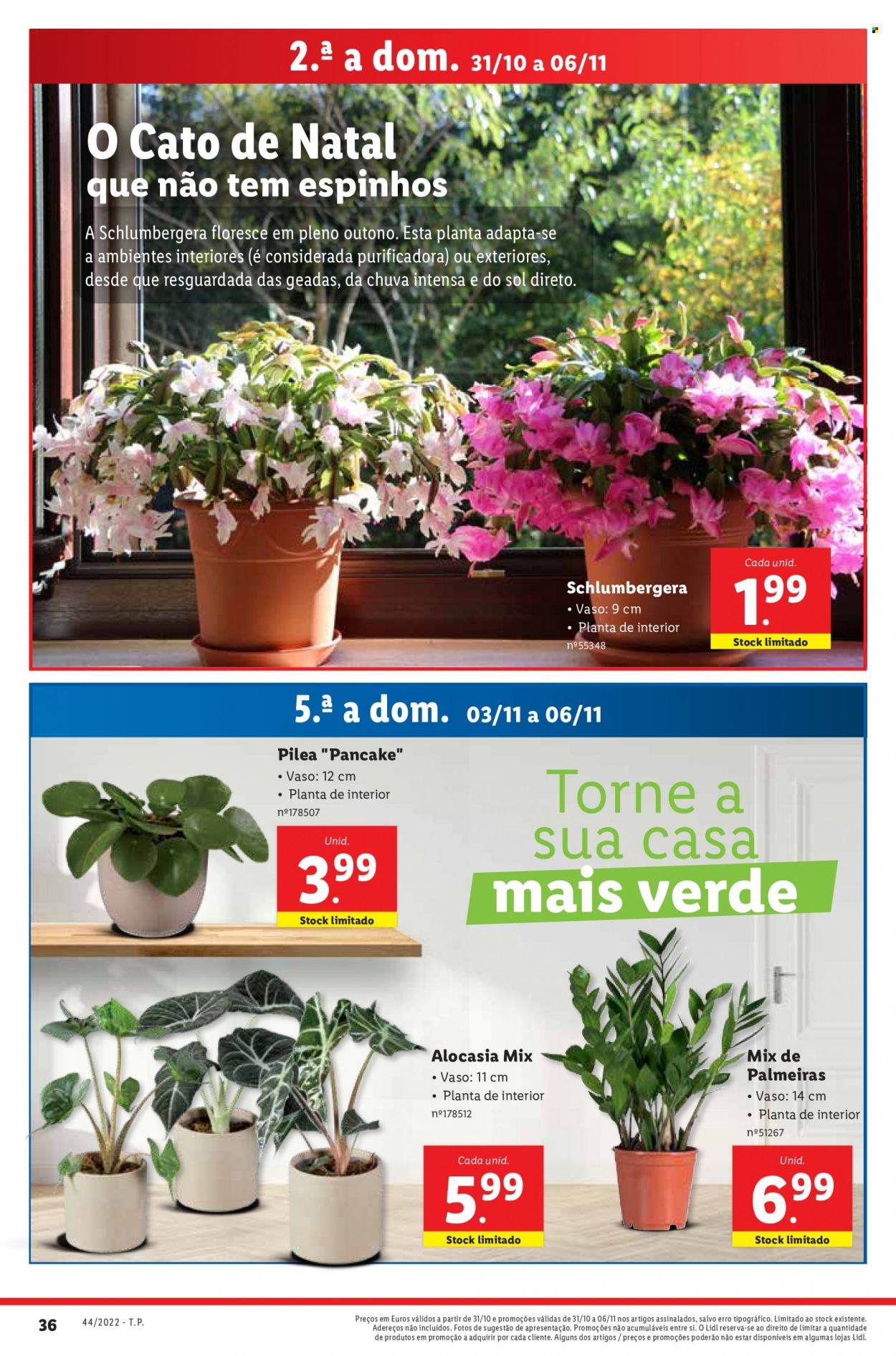 Folheto Lidl - 31.10.2022 - 6.11.2022. Página 38