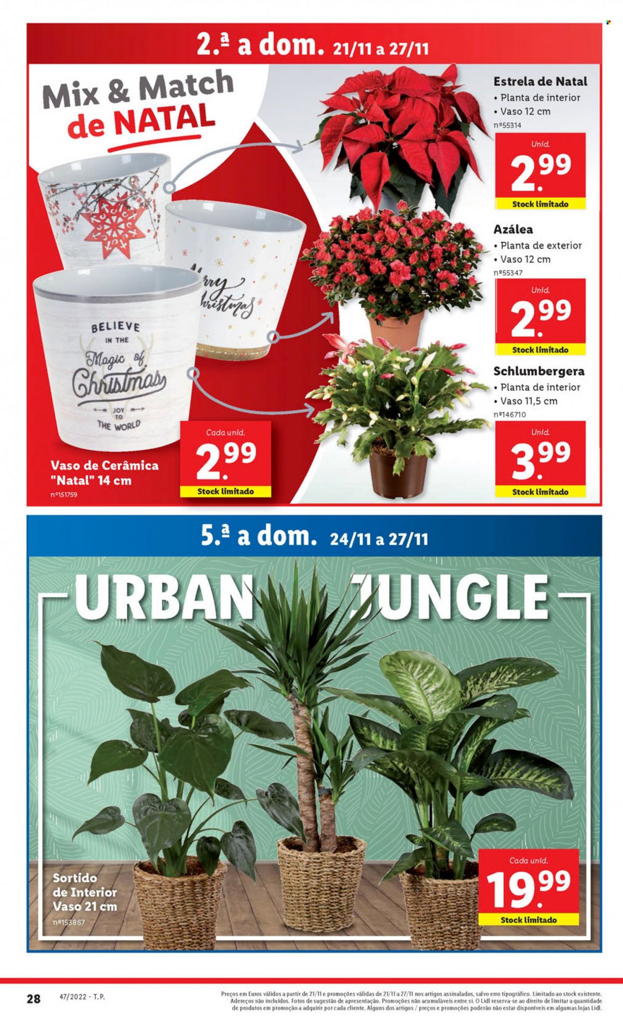 Folheto Lidl - 21.11.2022 - 27.11.2022. Página 29