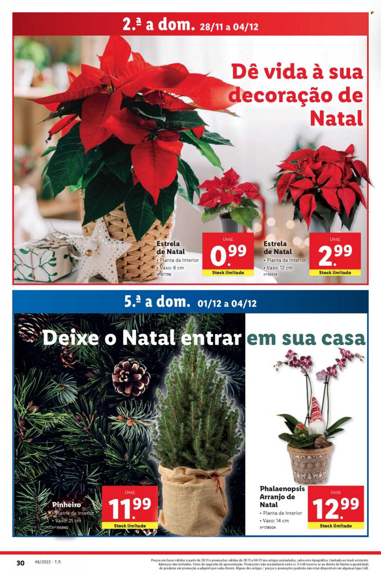 thumbnail - Folheto Lidl - 28.11.2022 - 4.12.2022 - Produtos em promoção - Estrela, decoração, decoração de natal, orquídea, plantas verdes. Página 49.