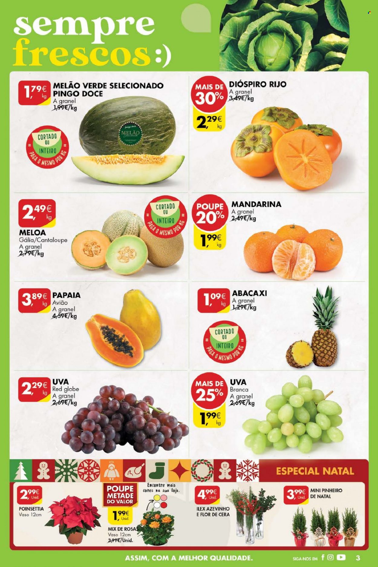 thumbnail - Folheto Pingo Doce - 29.11.2022 - 5.12.2022 - Produtos em promoção - abacaxi, papaia, melão, mamão, mandarina, uva branca, melão verde, poinséttia. Página 3.
