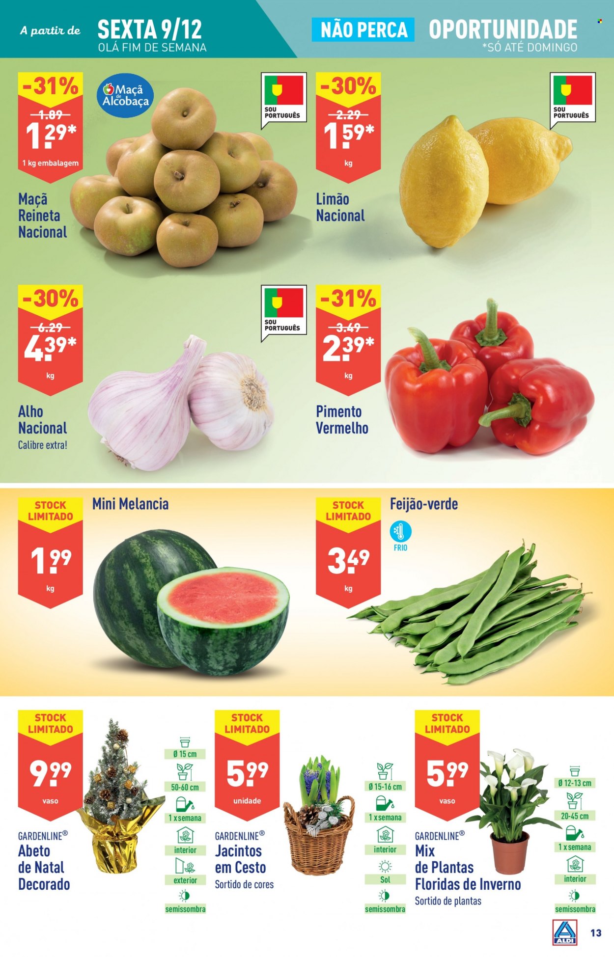 Folheto Aldi - 7.12.2022 - 13.12.2022. Página 13