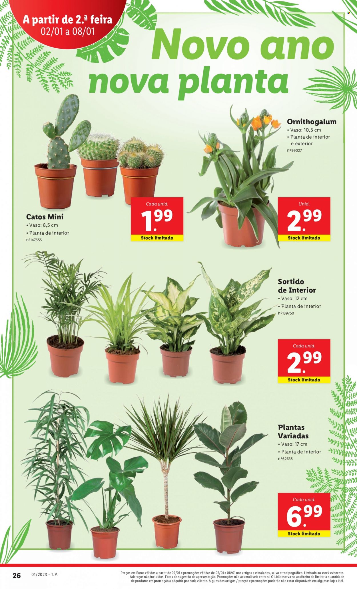Folheto Lidl - 2.1.2023 - 8.1.2023. Página 42