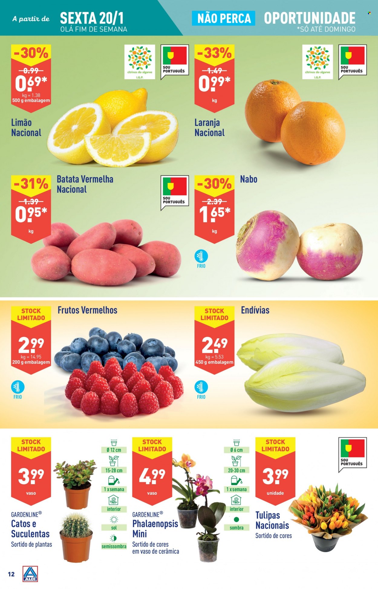 Folheto Aldi - 18.1.2023 - 24.1.2023. Página 12