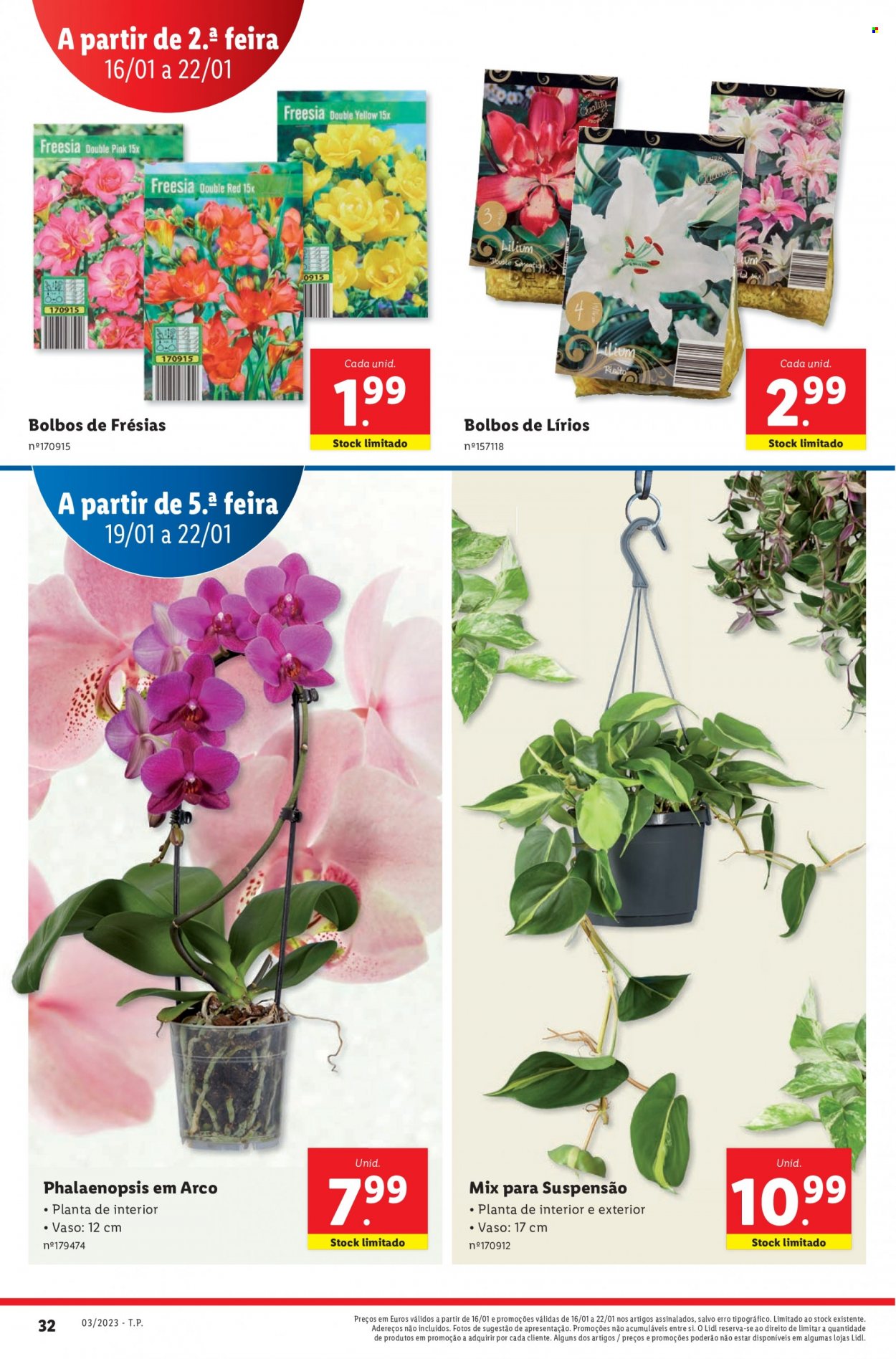 Folheto Lidl - 16.1.2023 - 22.1.2023. Página 47