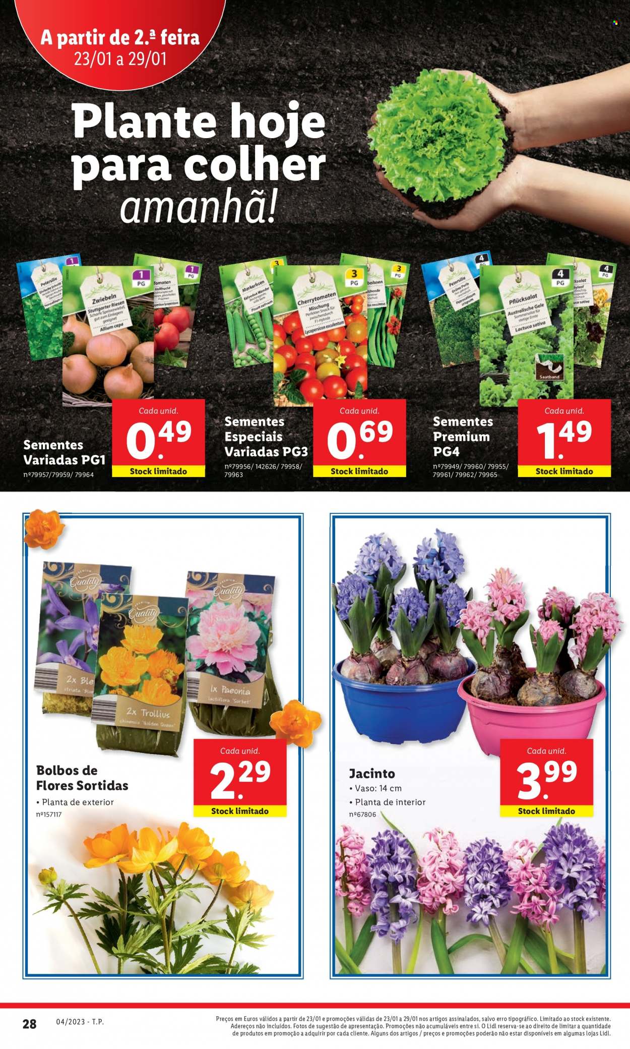Folheto Lidl - 23.1.2023 - 29.1.2023. Página 46