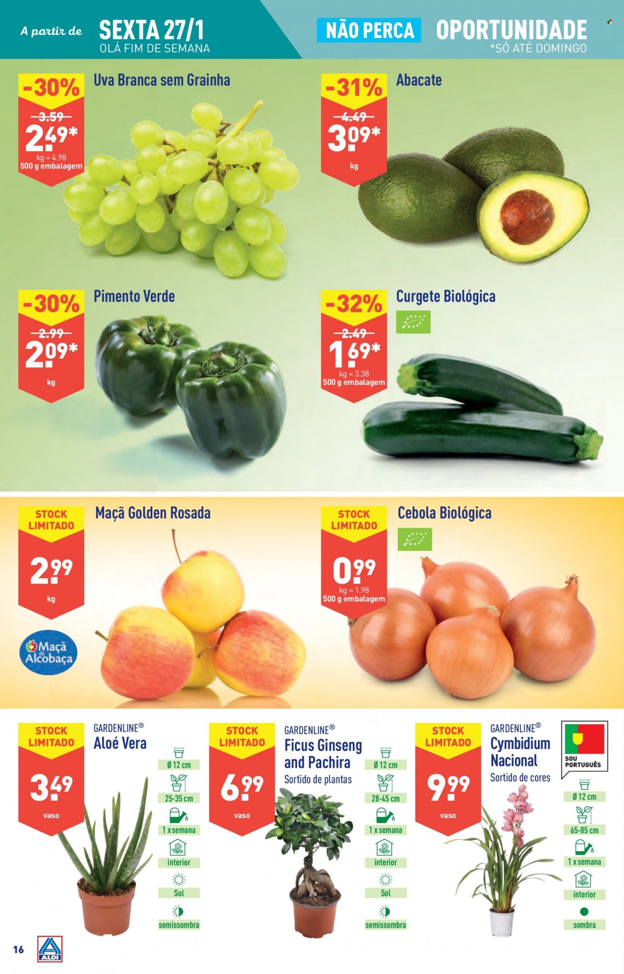 Folheto Aldi - 25.1.2023 - 31.1.2023. Página 16