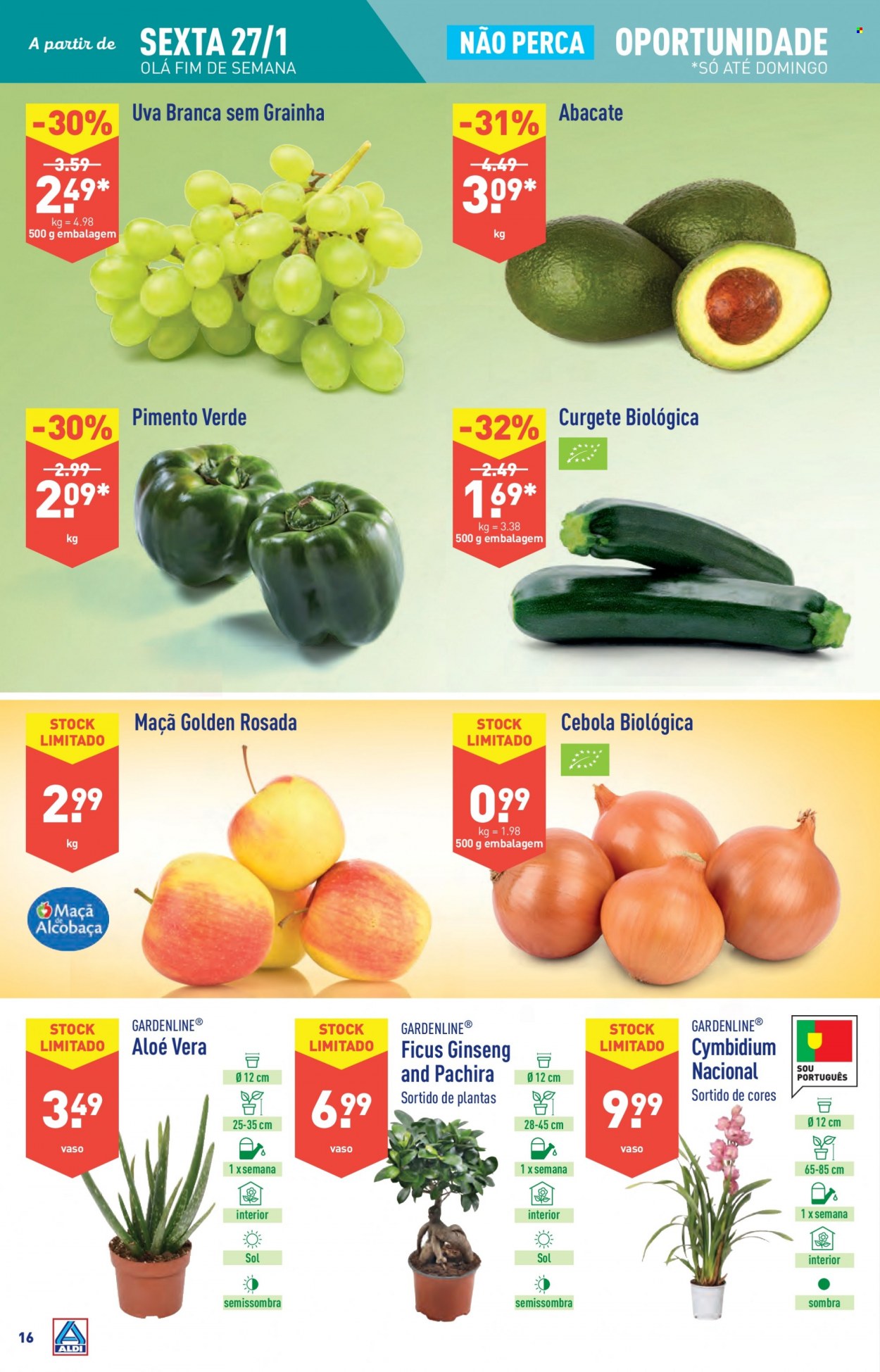 thumbnail - Folheto Aldi - 25.1.2023 - 31.1.2023 - Produtos em promoção - maçã, uva, abacate, uva branca, cebola, curgete, pimento, aloe vera, plantas verdes. Página 16.