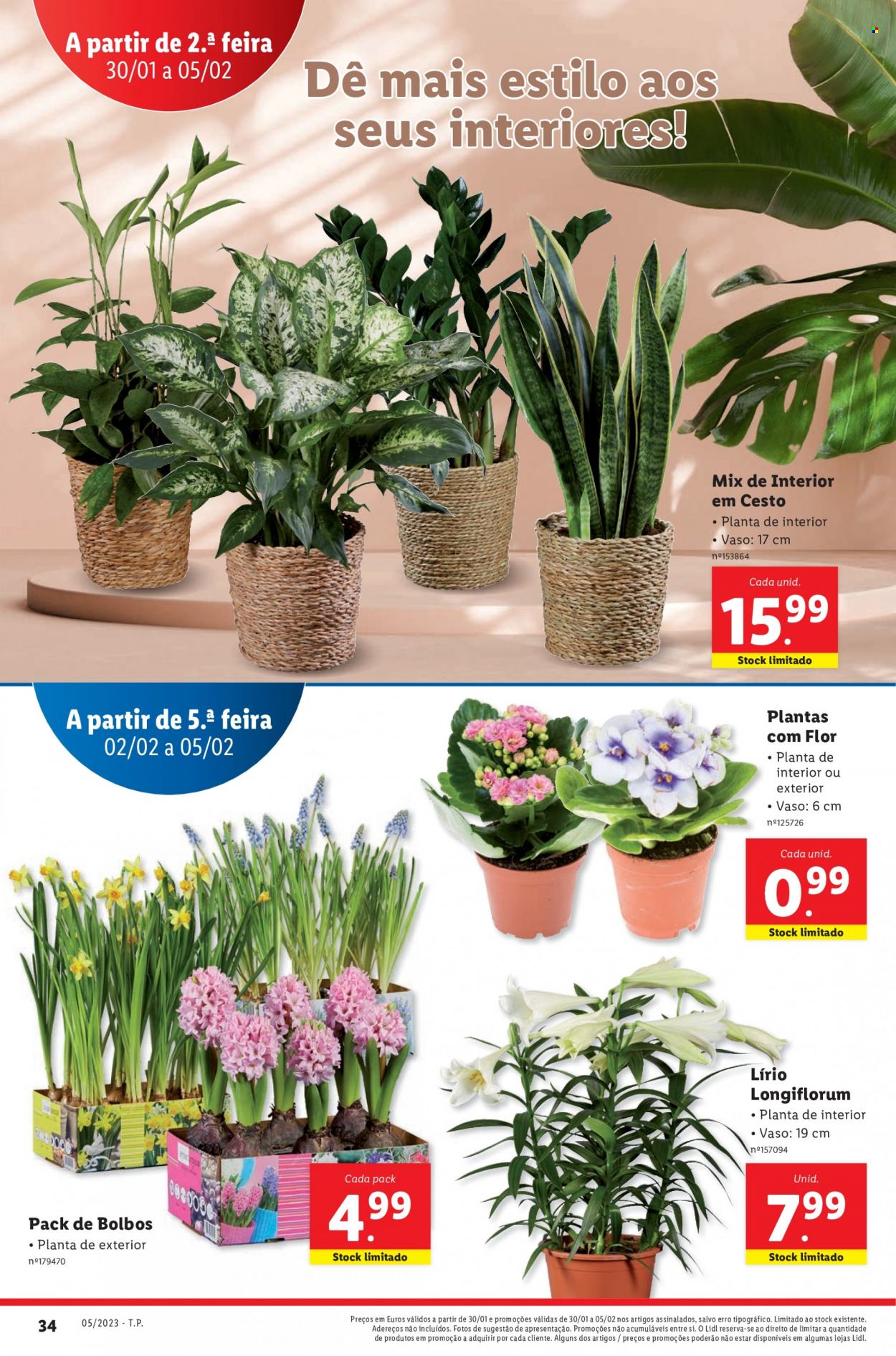 Folheto Lidl - 30.1.2023 - 5.2.2023. Página 34
