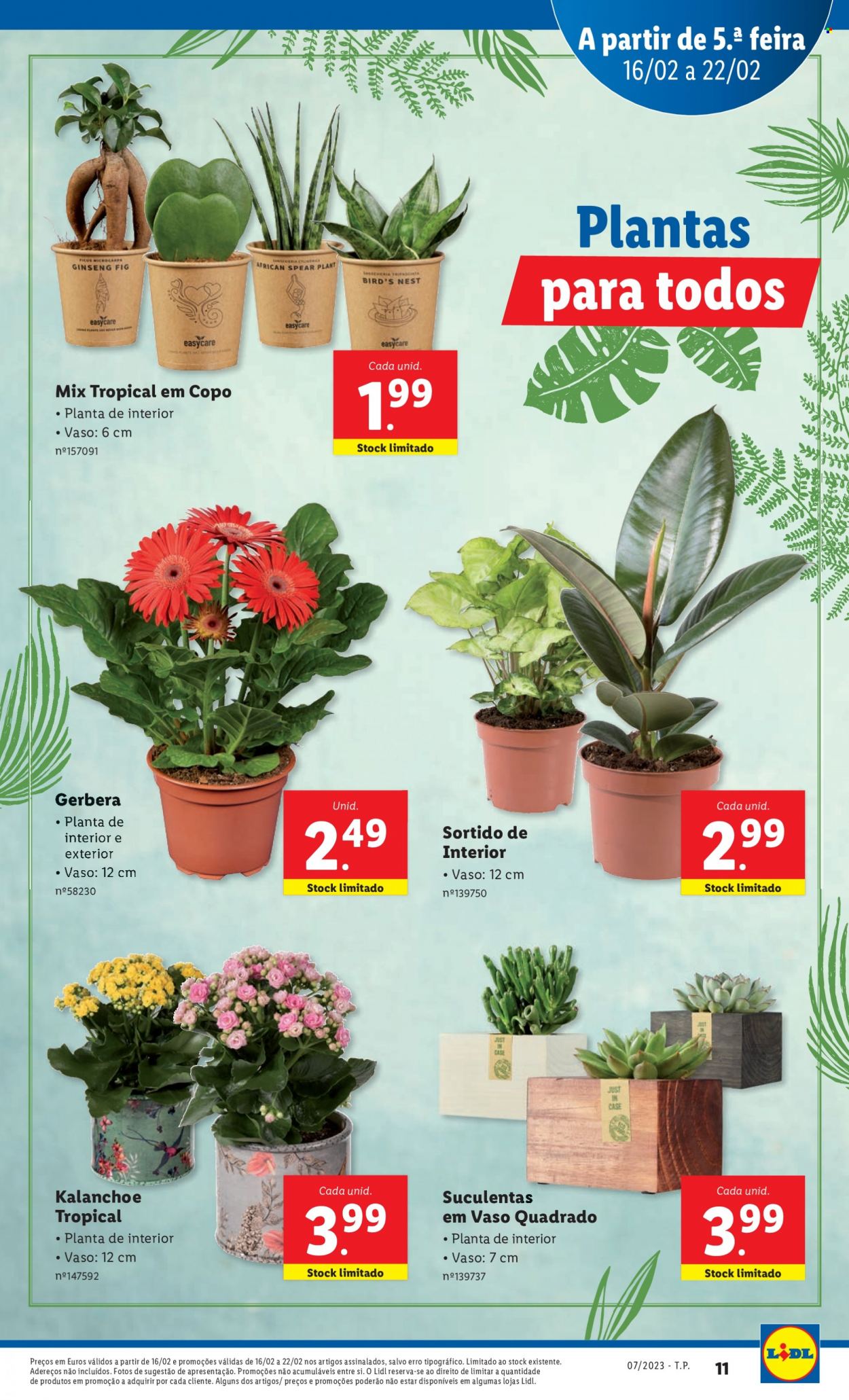 Folheto Lidl - 16.2.2023 - 22.2.2023. Página 11