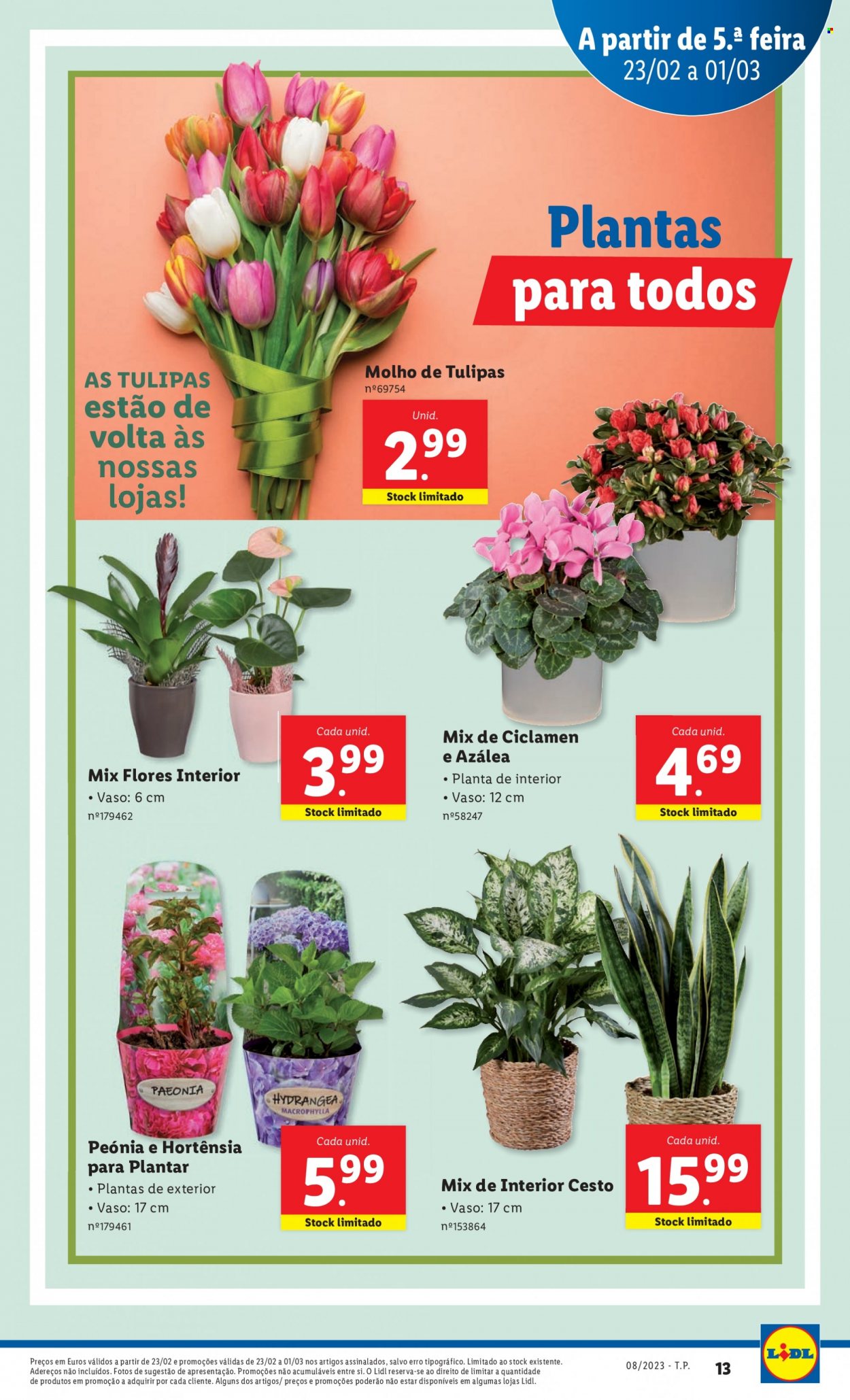 Folheto Lidl - 23.2.2023 - 1.3.2023. Página 13