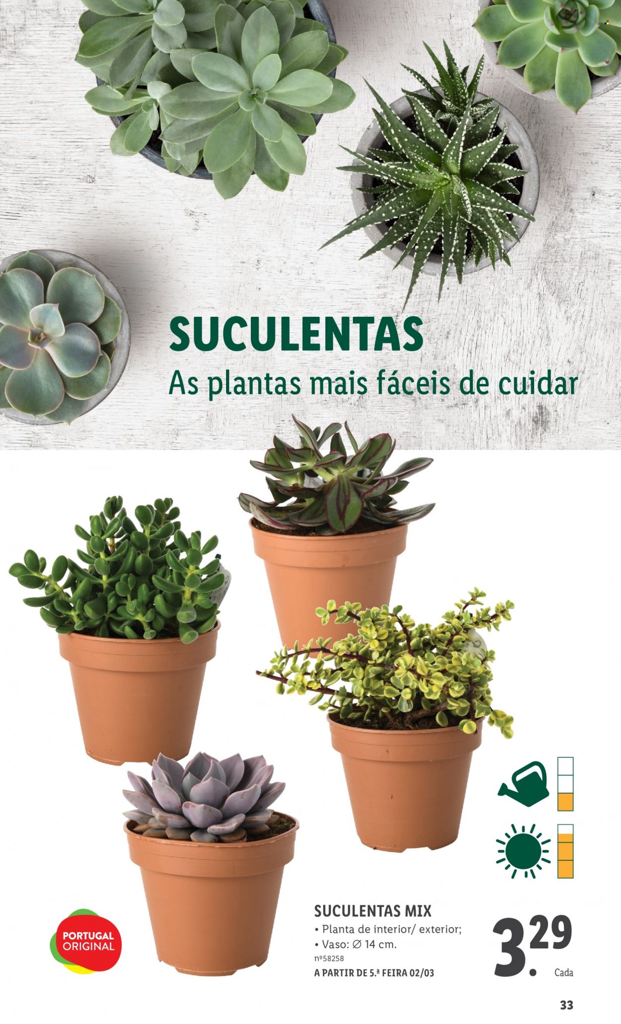 thumbnail - Folheto Lidl - 1.3.2023 - 31.3.2023 - Produtos em promoção - suculentas, plantas verdes. Página 33.