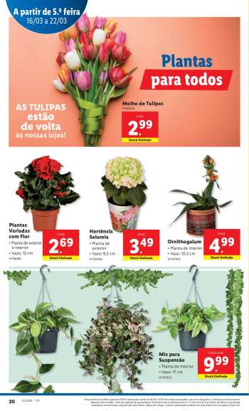Promoções {store}
