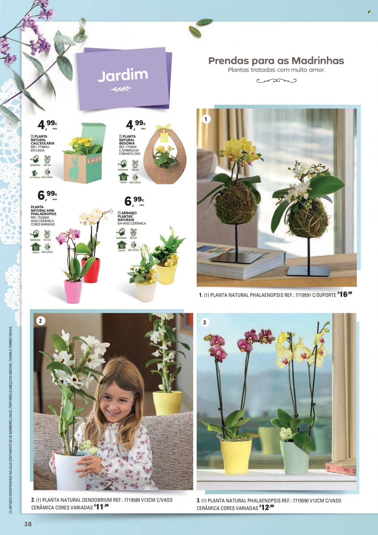 thumbnail - Folheto Continente - 21.3.2023 - 9.4.2023 - Produtos em promoção - ovos, orquídea. Página 38.
