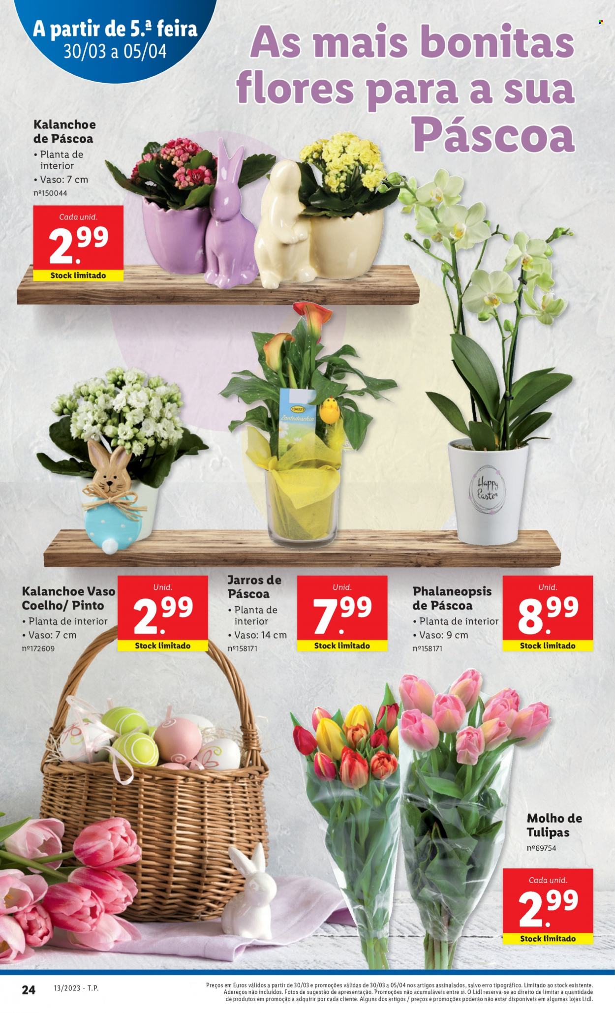 Folheto Lidl - 30.3.2023 - 5.4.2023. Página 24