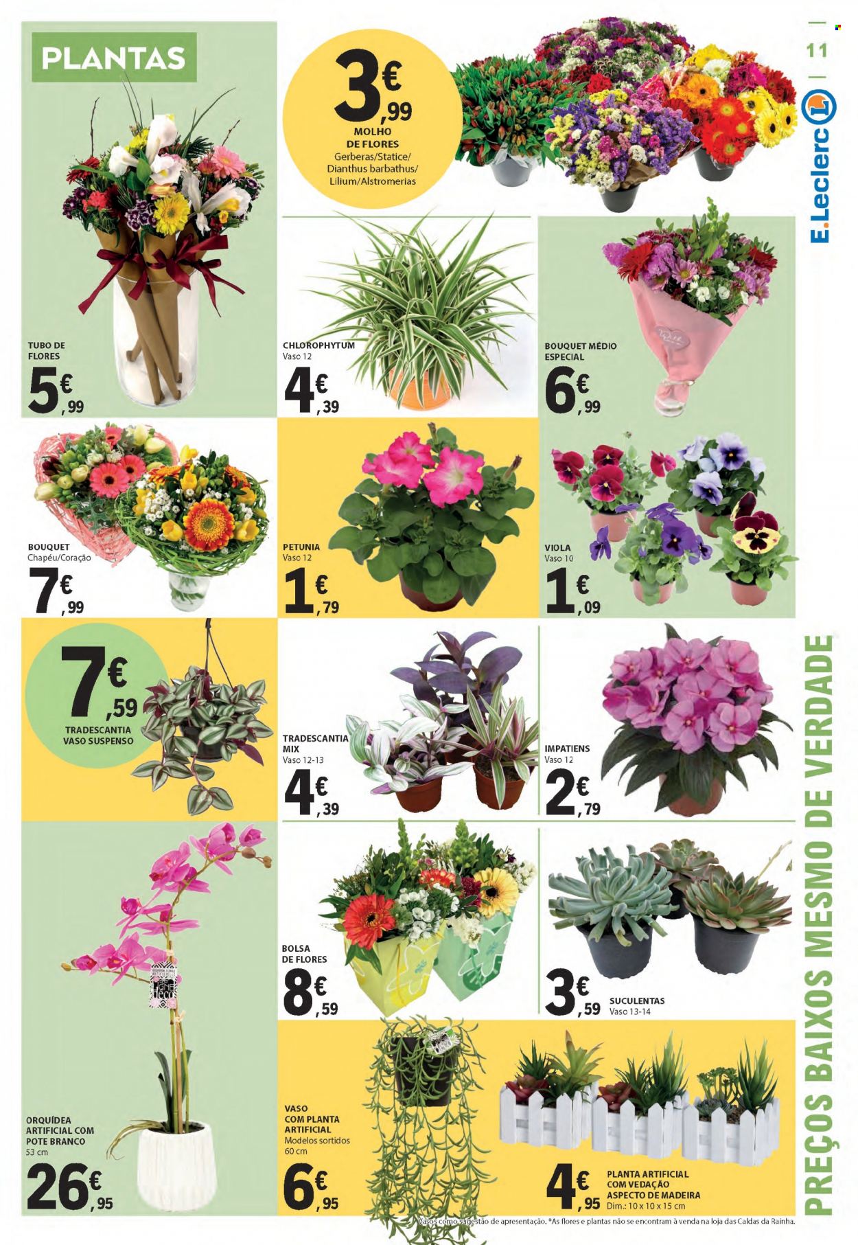 thumbnail - Folheto E.Leclerc - 30.3.2023 - 12.4.2023 - Produtos em promoção - molho, bolsa, planta artificial, orquídea, suculentas, plantas verdes, vedação. Página 11.