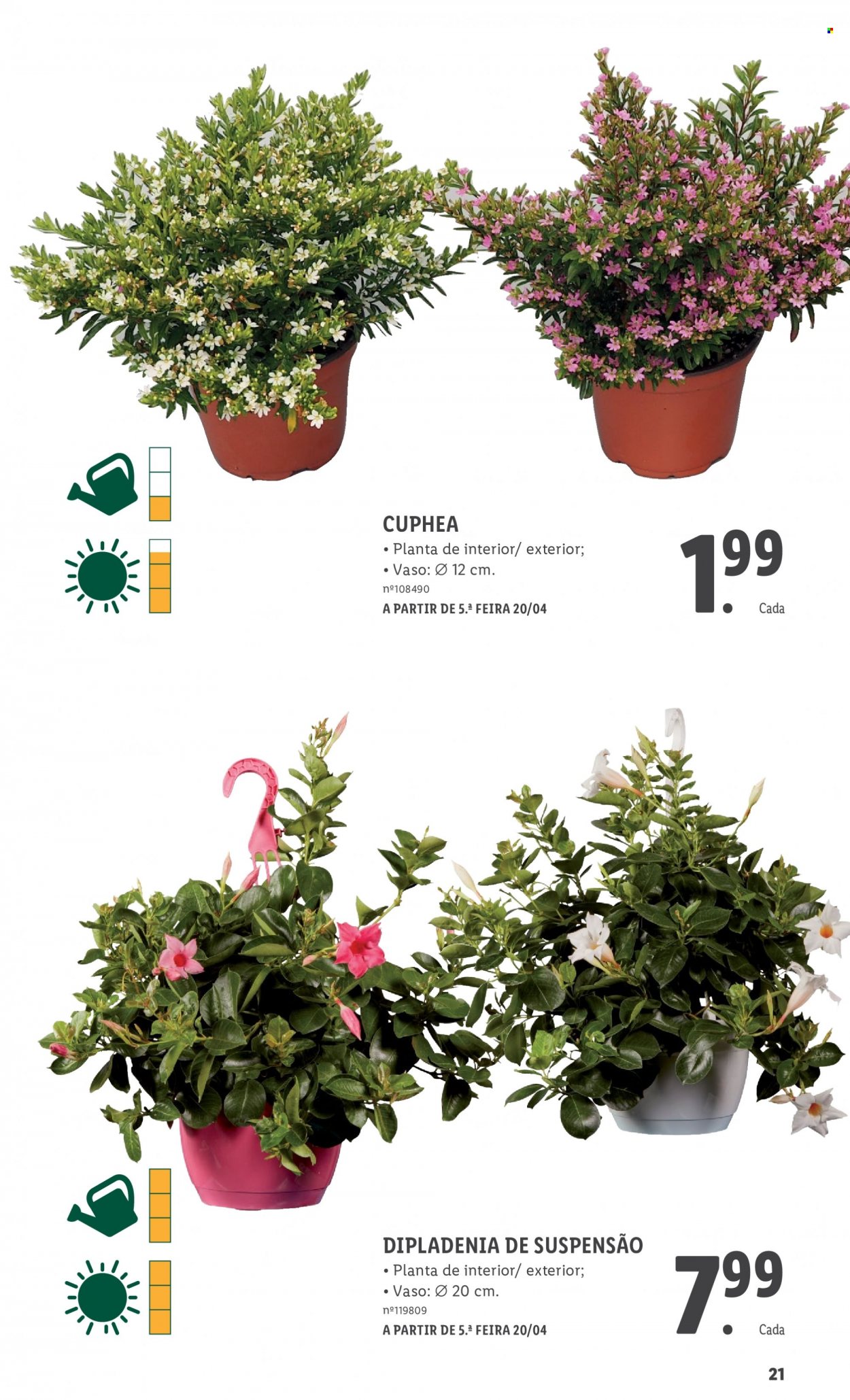 Folheto Lidl - 1.4.2023 - 3.5.2023. Página 21