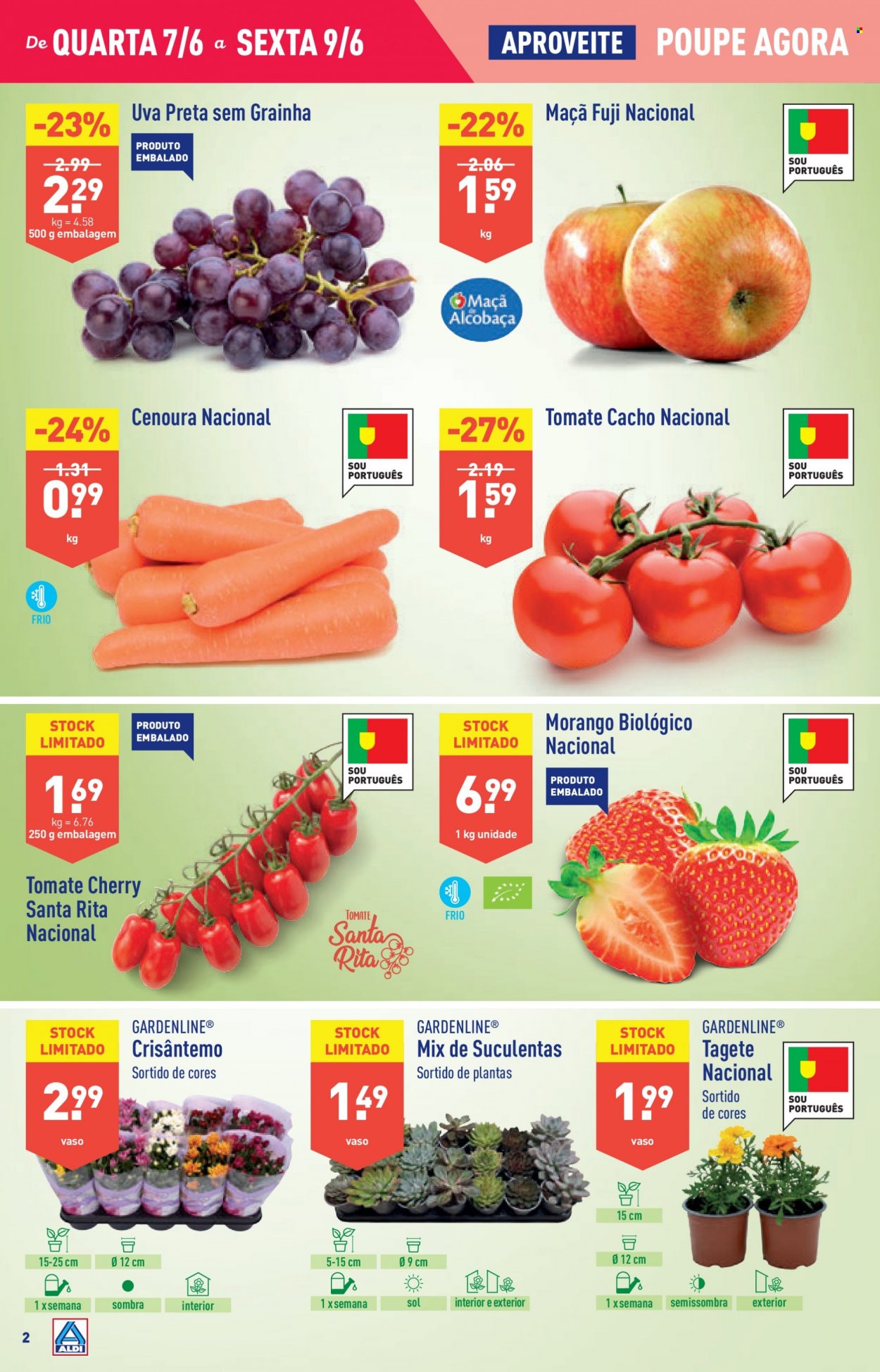 Folheto Aldi - 7.6.2023 - 13.6.2023. Página 2
