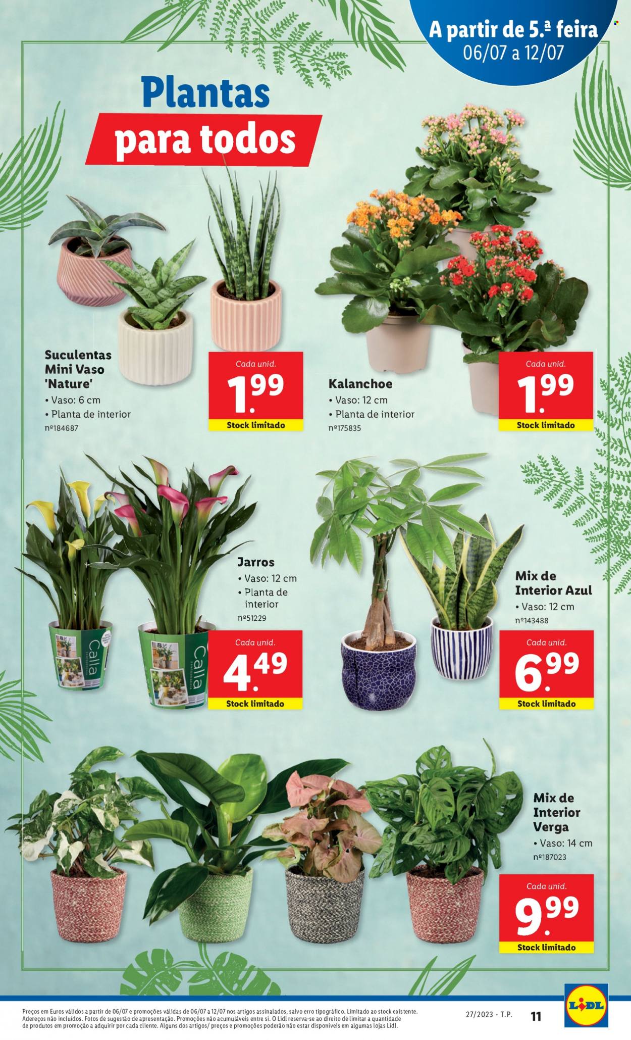 Folheto Lidl - 6.7.2023 - 12.7.2023. Página 11