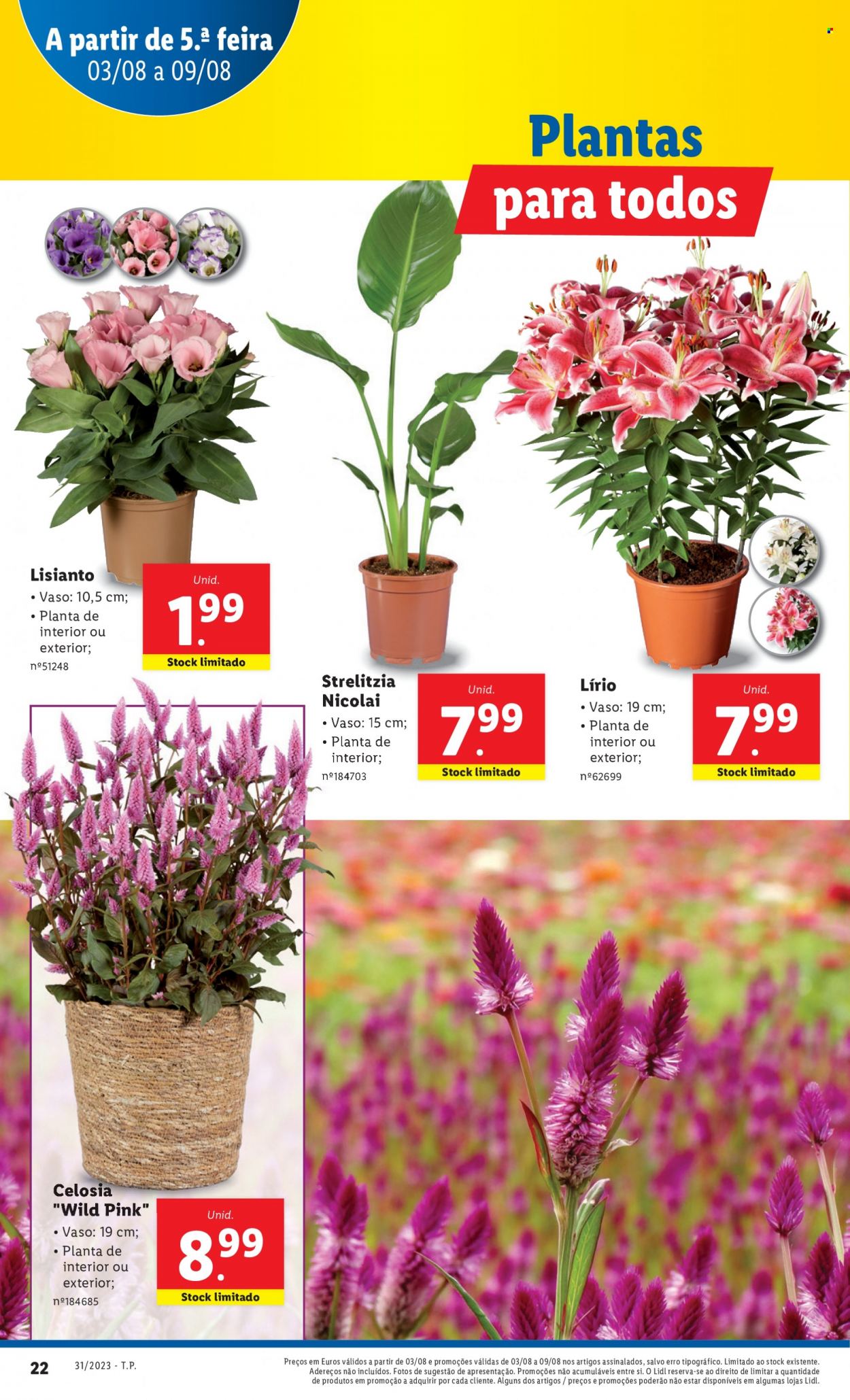 Folheto Lidl - 3.8.2023 - 9.8.2023. Página 40