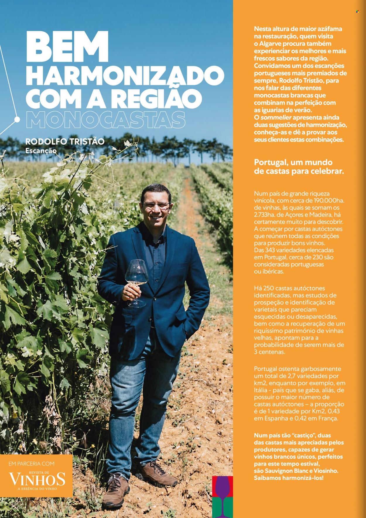 Folheto Recheio - 3.8.2023 - 30.8.2023. Página 12